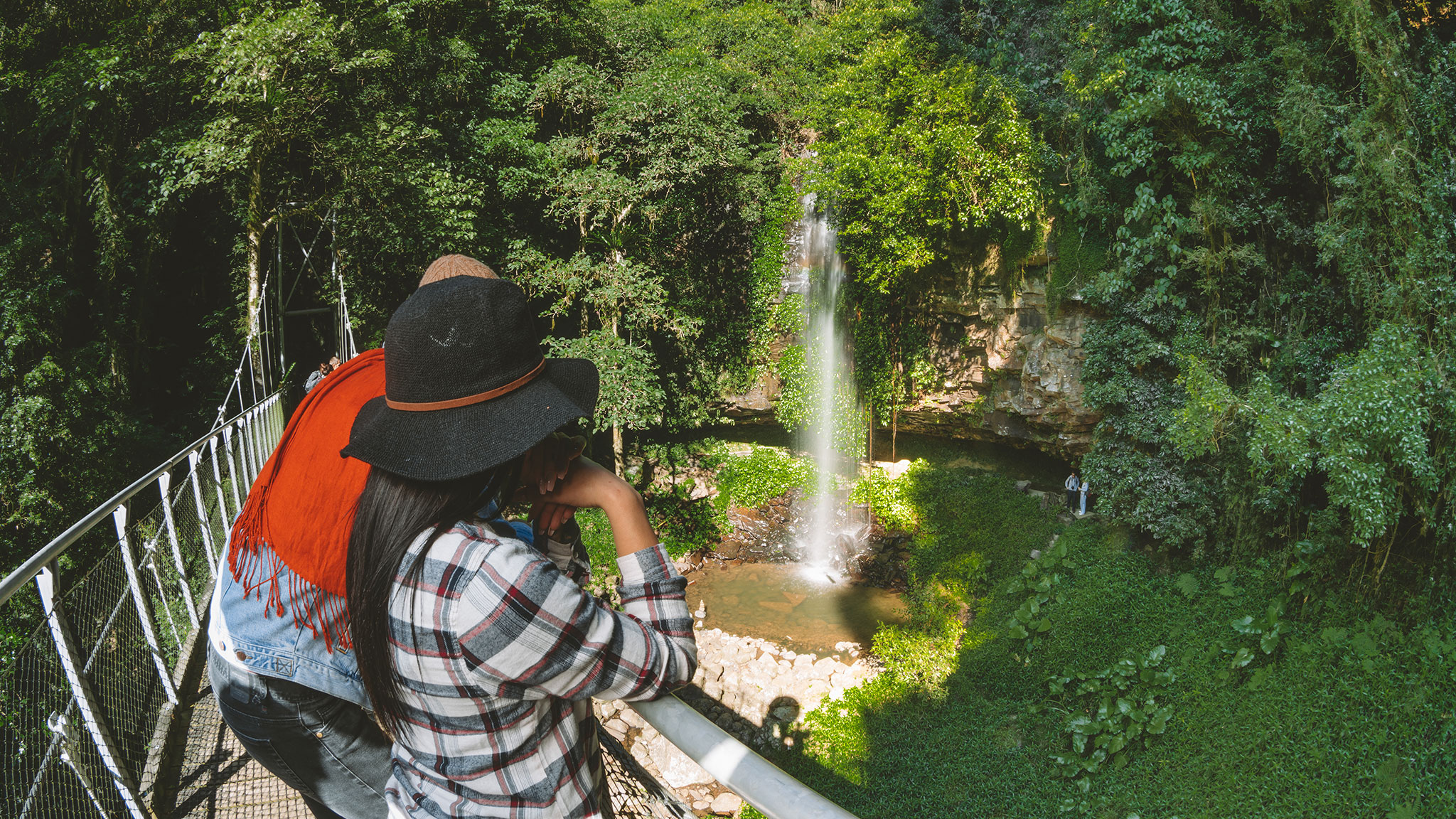 A couple looking at Crystal Showers Falls, Dorrigo National Park. Photo credit: Branden Bodman / DPE