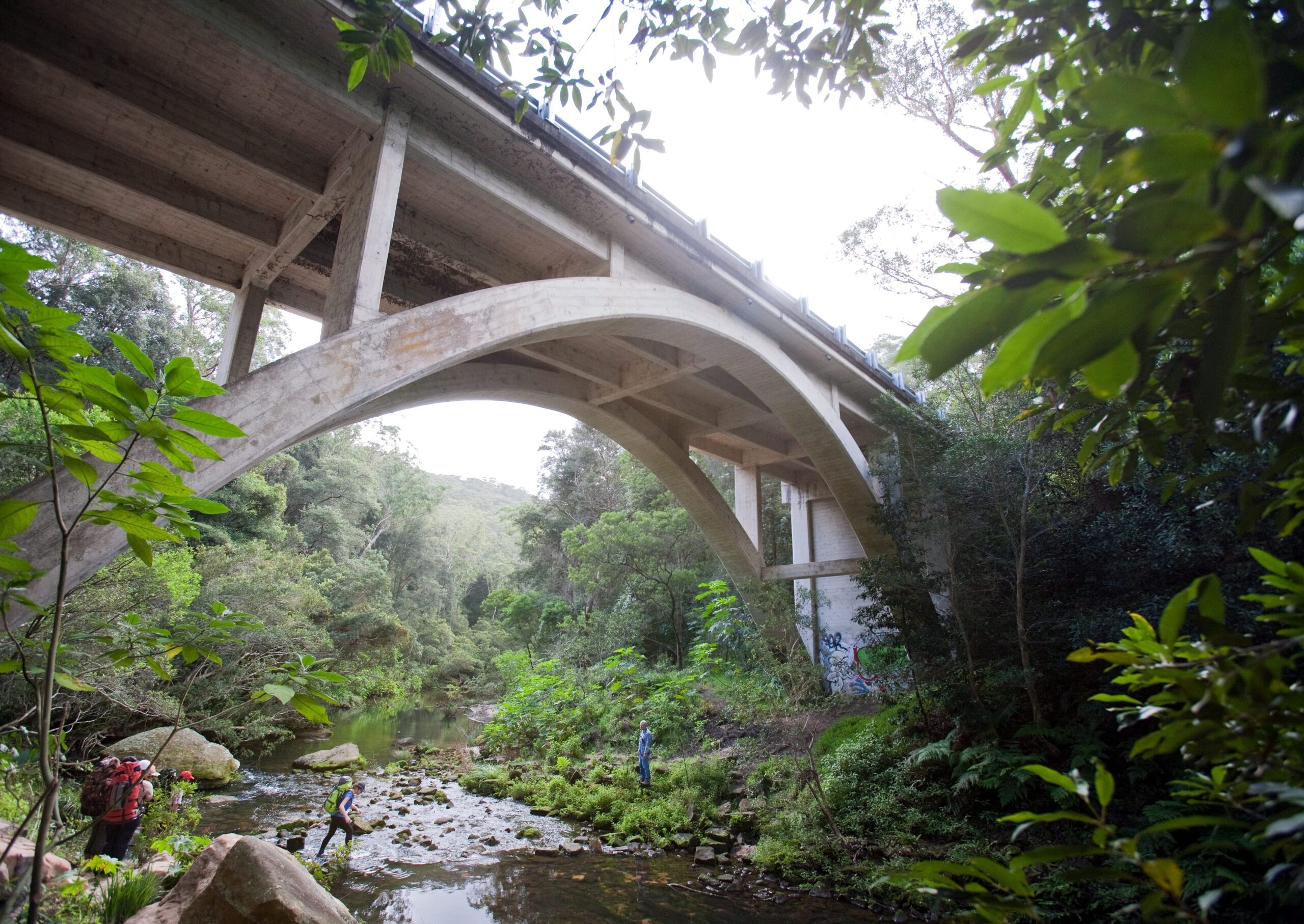 Tourist cross the creek under the bridge at Galston Gorge in the Berowra Valley National Park. Photo Credit: Nick Cubbin/DCCEEW