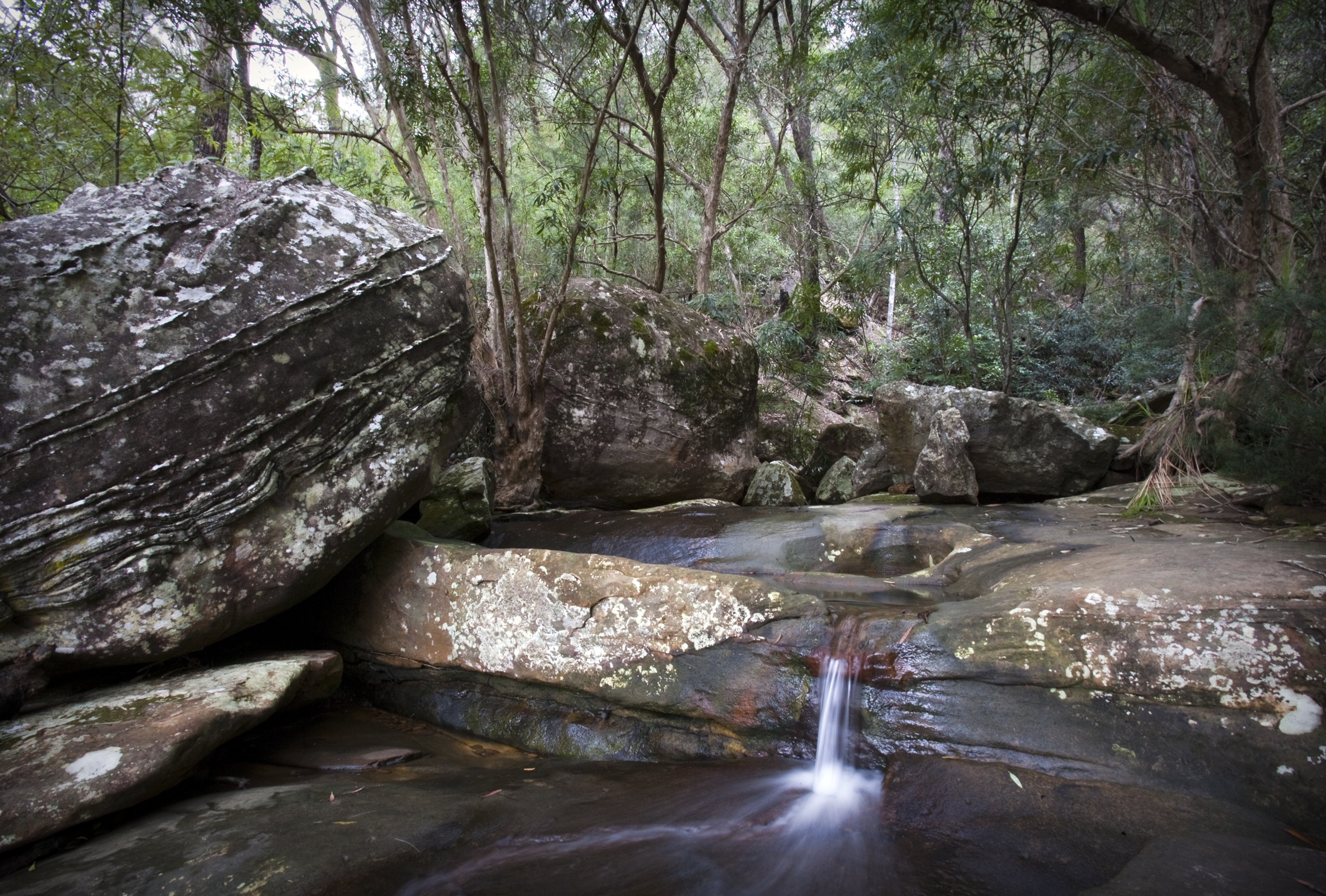 Cascades at Berowra Creek. Photo: Nick Cubbin/DCCEEW © Nick Cubbin
