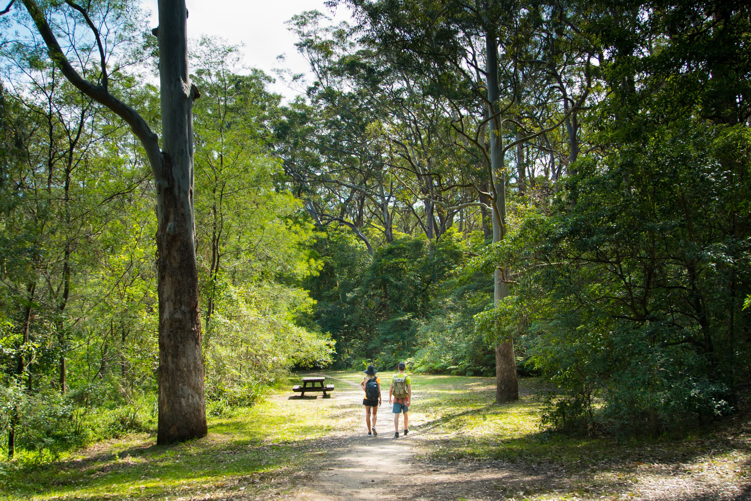 Couple walking through Lane Cove national park. Photo credit: Daniel Parsons / DPE