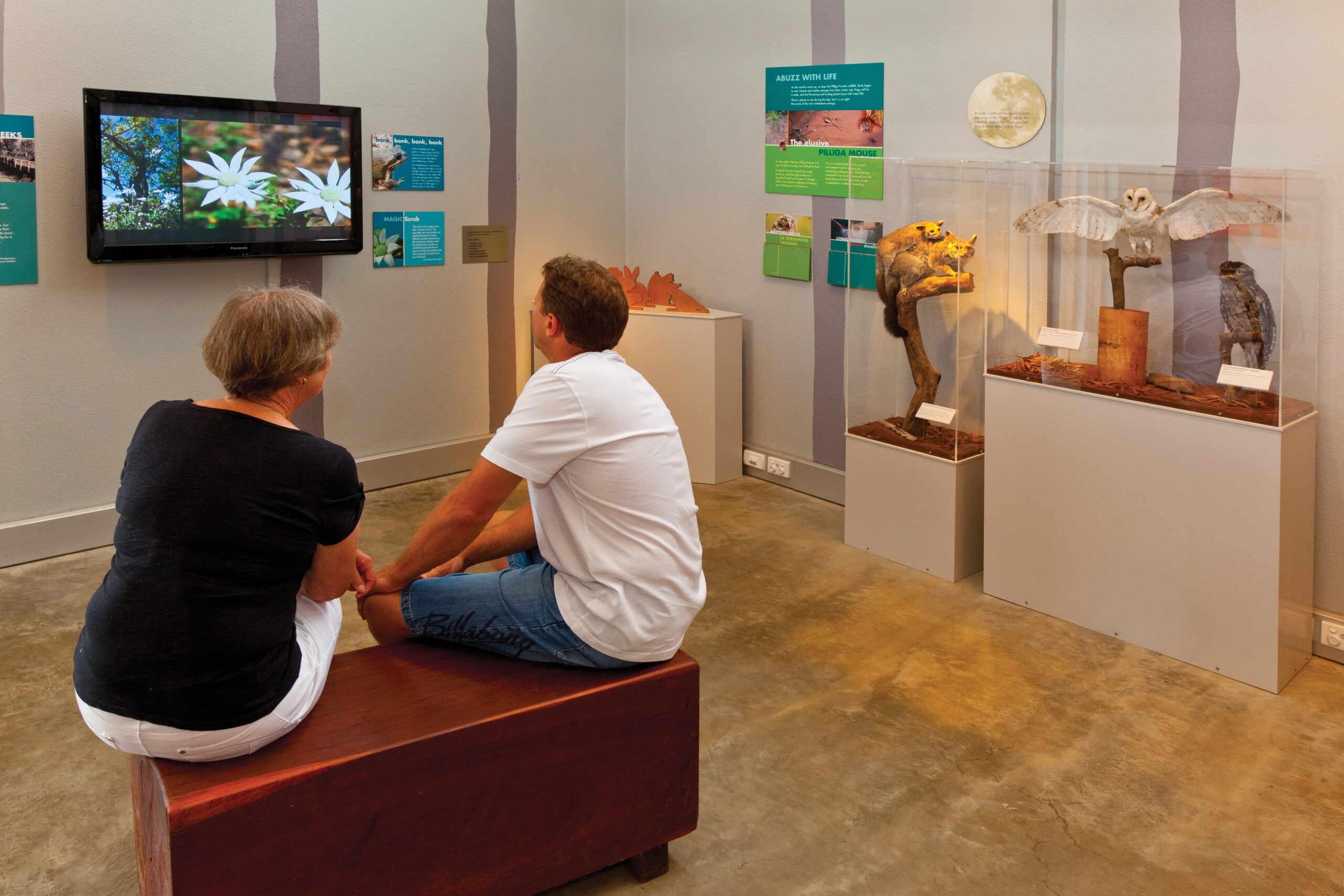 Couple indoors looking at the interactive display, in Pilliga Forest Discovery Centre. Photo credit: Robert Cleary / DPE