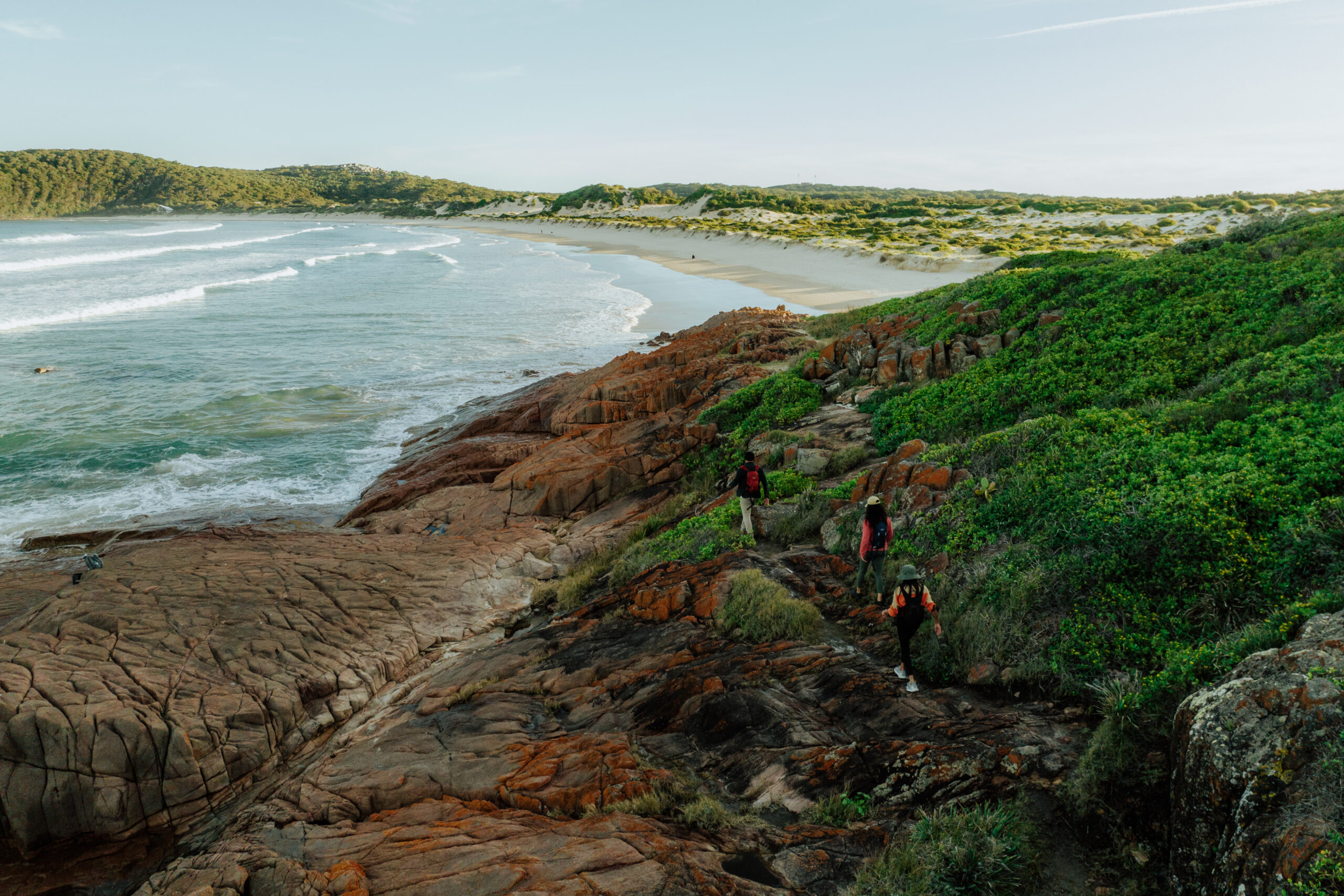 Three people walking Tomaree coastal walk. Tomaree National Park. Photo: Remy Brand / DCCEEW © Studio Bilby
