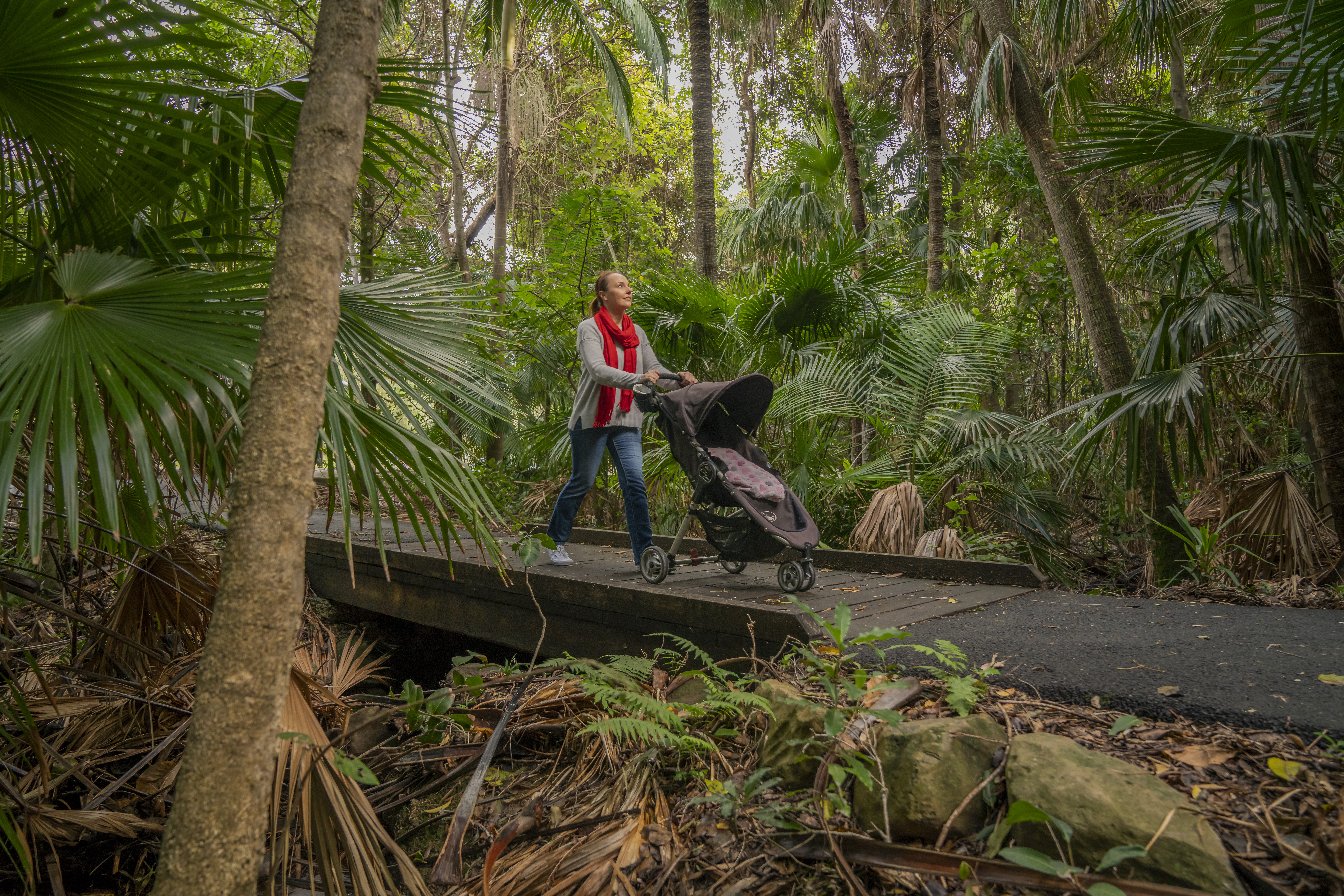 Eight pram-friendly walks in NSW national parks