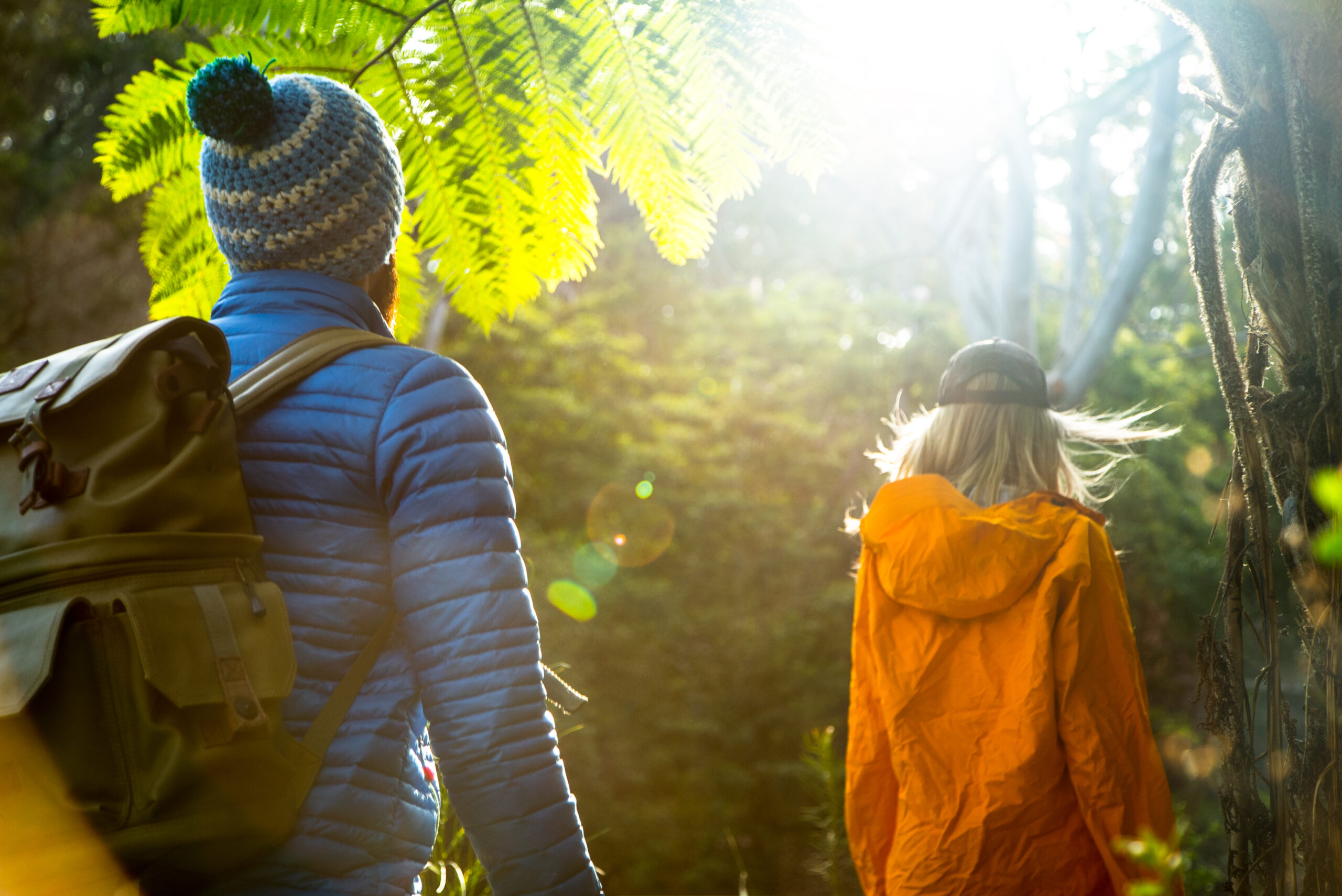 Two people walking through Lane Cove National Park. Photo credit: Daniel Parsons/DCCEEW © Studio Bilby