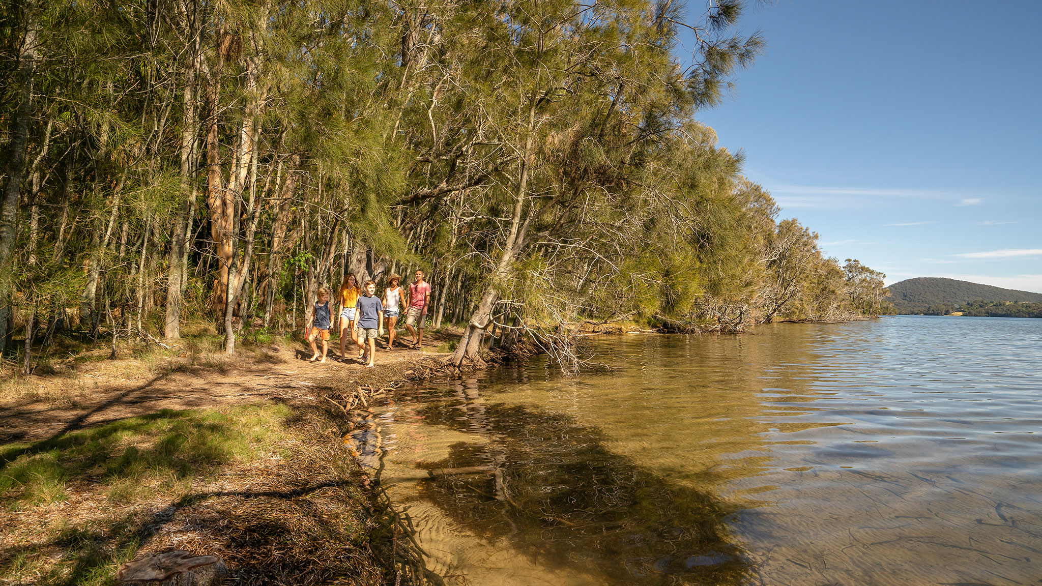 Family bushwalking, Booti Hill and Wallis Lake walking track, Booti Booti National Park. Photo credit: John Spencer/DPE