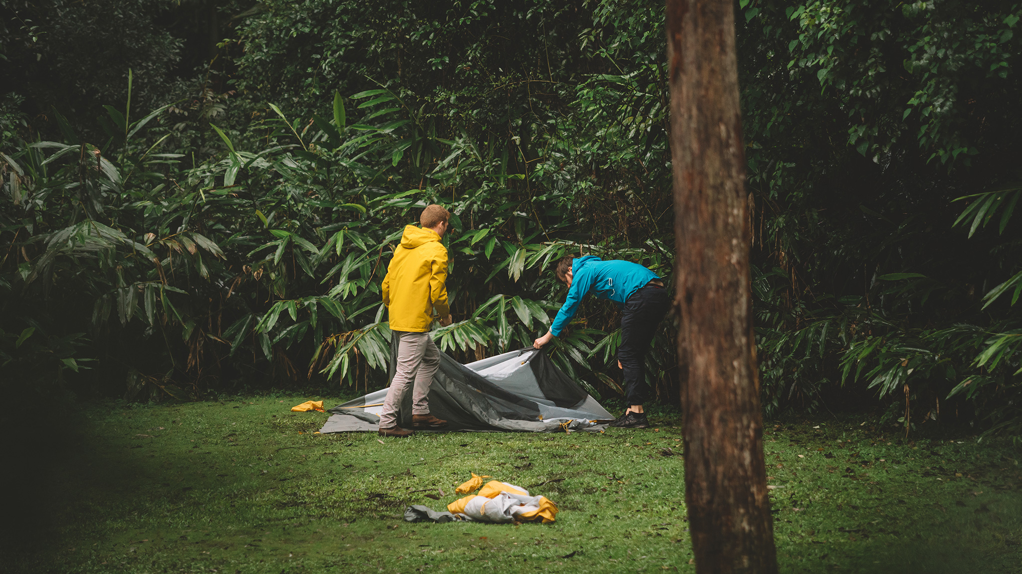 Two people setting up a tent, Sheepstation Creek Campground, Border Ranges National Park. Photo credit: Branden Bodman / DPE