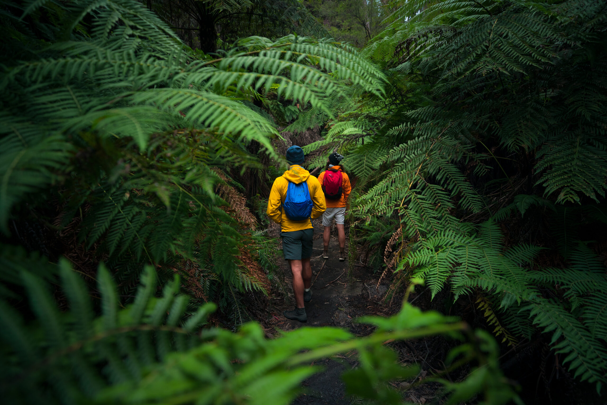 Two people bushwalking. Photo credit: Daniel Tran / DPE