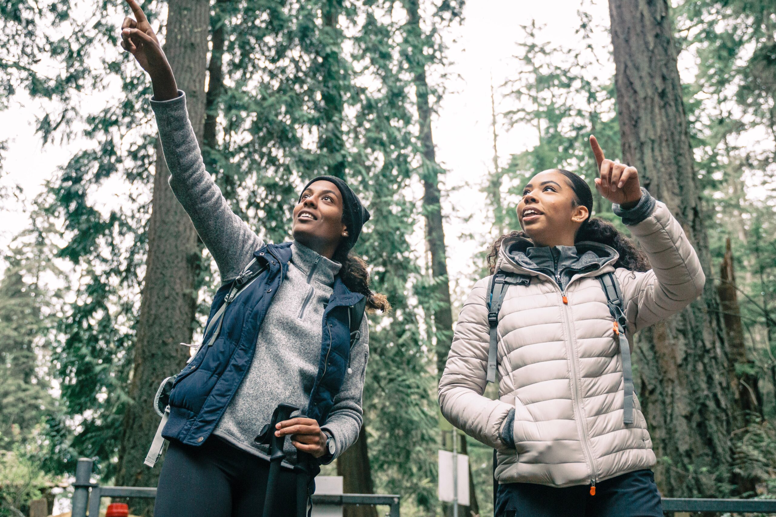 Women Hiking in a Forest. Photo: PNW Production via Pexels