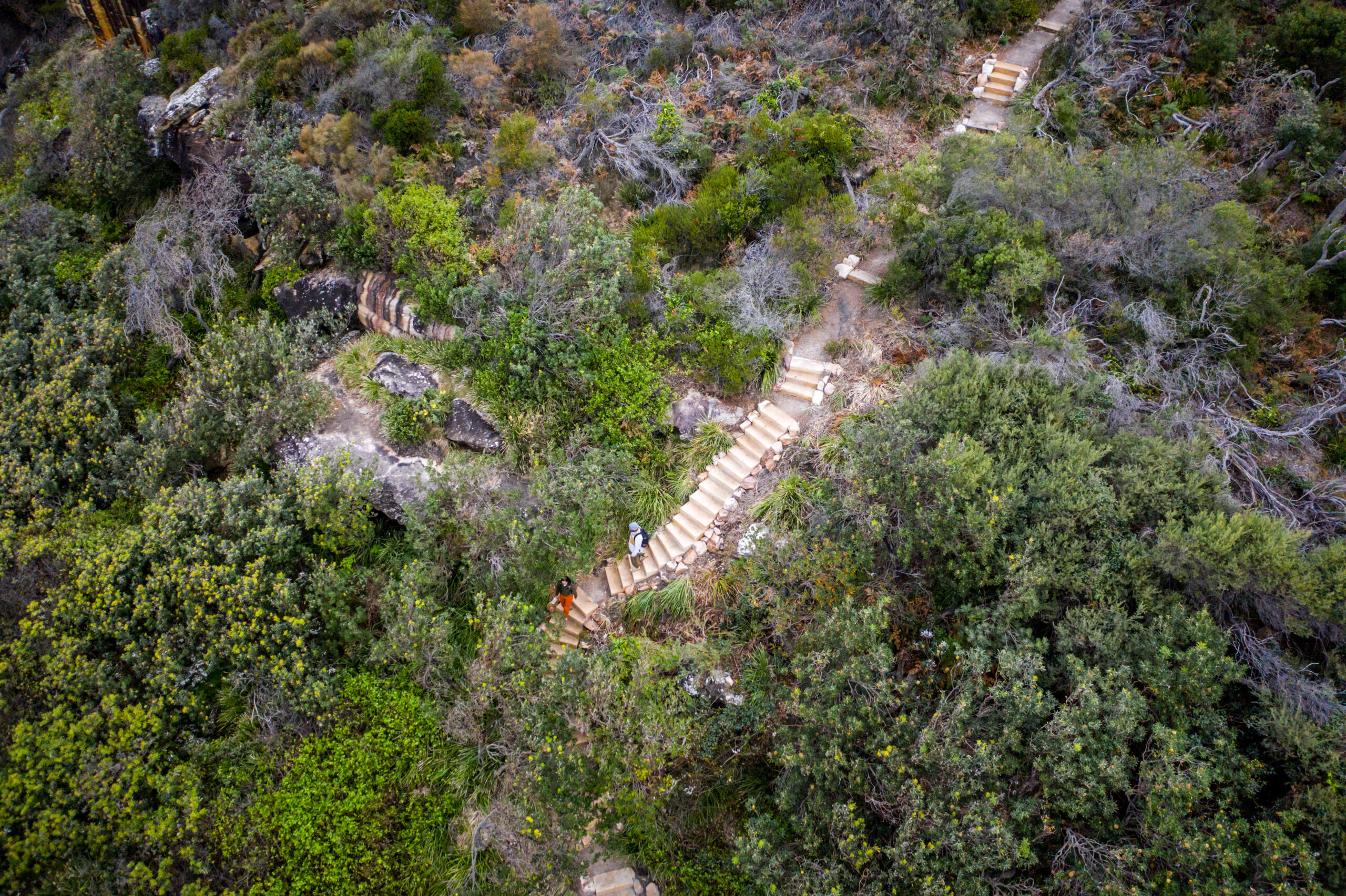 Aerial view of two people on the Bouddi Coastal Walk, Bouddi National Park. Photo Credit: Jared Lyons / DPE