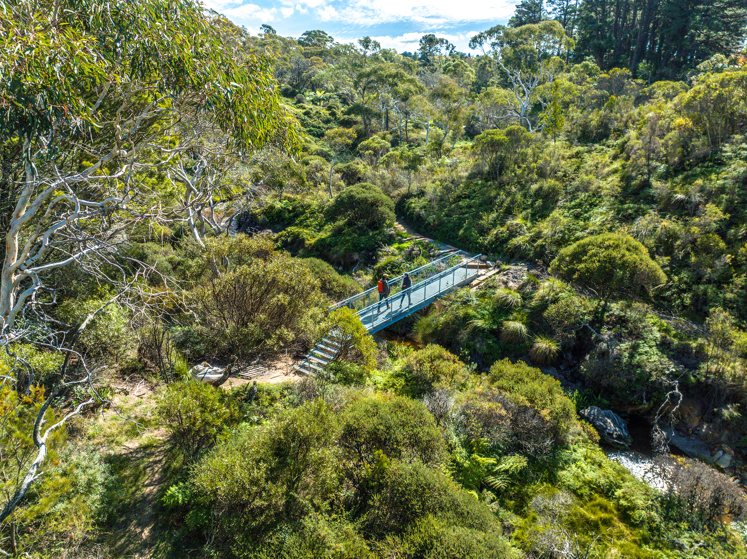 Two people walking on the Darwins Walk, Grand Cliff Top Walk. Photo: Remy Brand/DCCEEW/BMCC © Studio Bilby