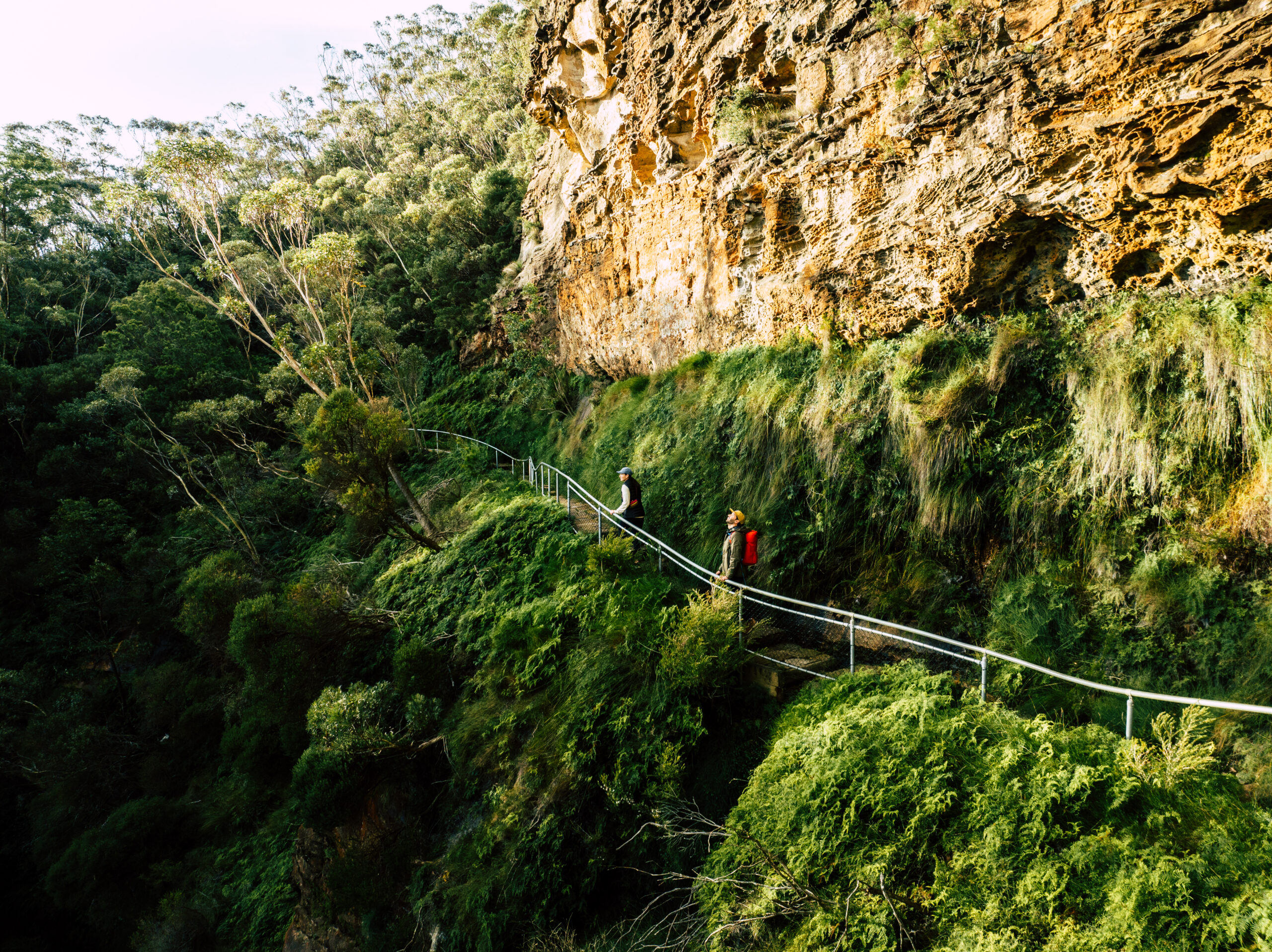 Two people walking on the Overcliff-Undercliff track, Grand Cliff Top Walk, Blue Mountains National Park. Photo: Remy Brand / DCCEEW © Studio Bilby