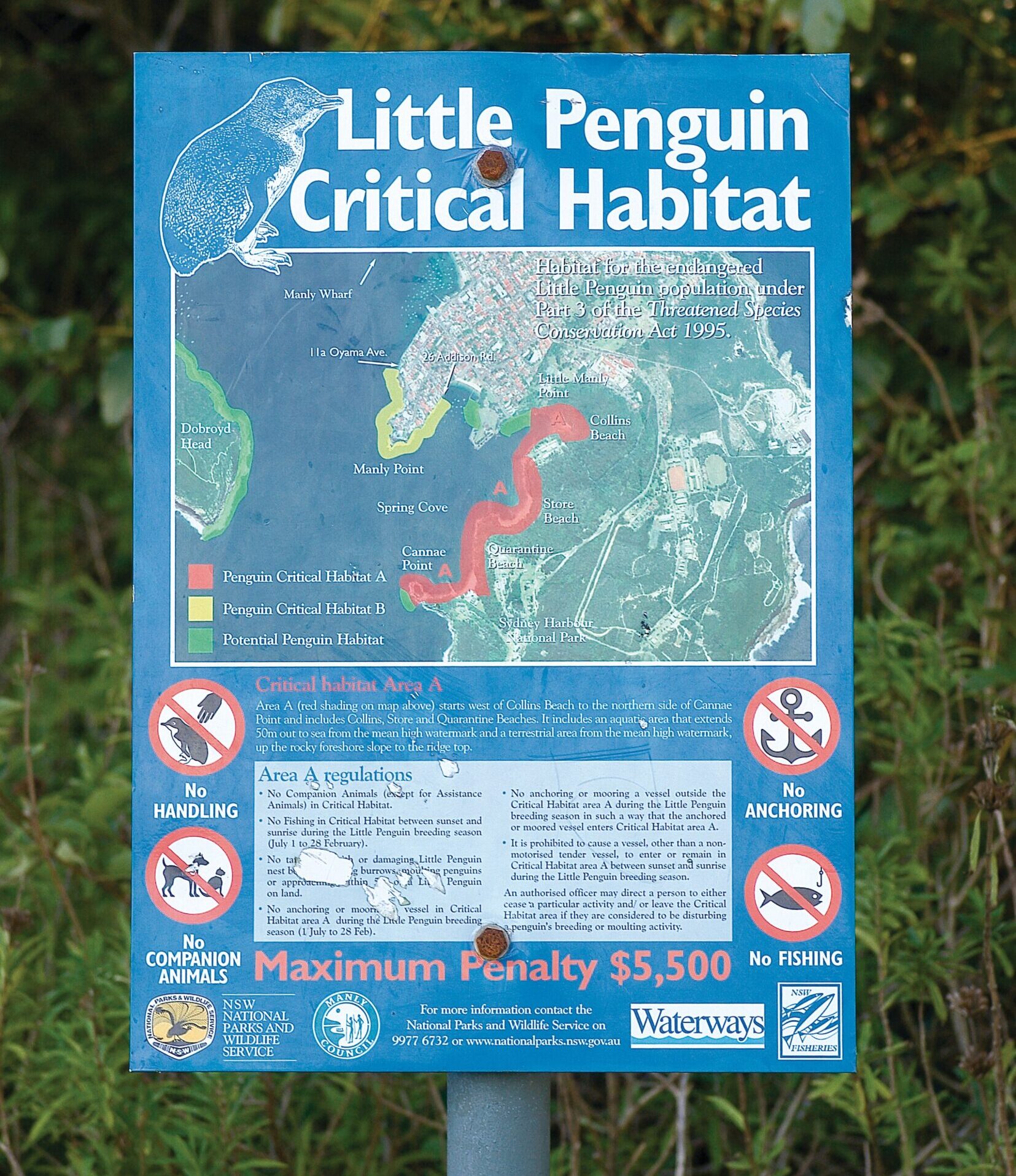 A sign indicating little penguin critical habitat in Sydney Harbour National Park. Photo credit: Michael Van Ewijk/DCCEEW