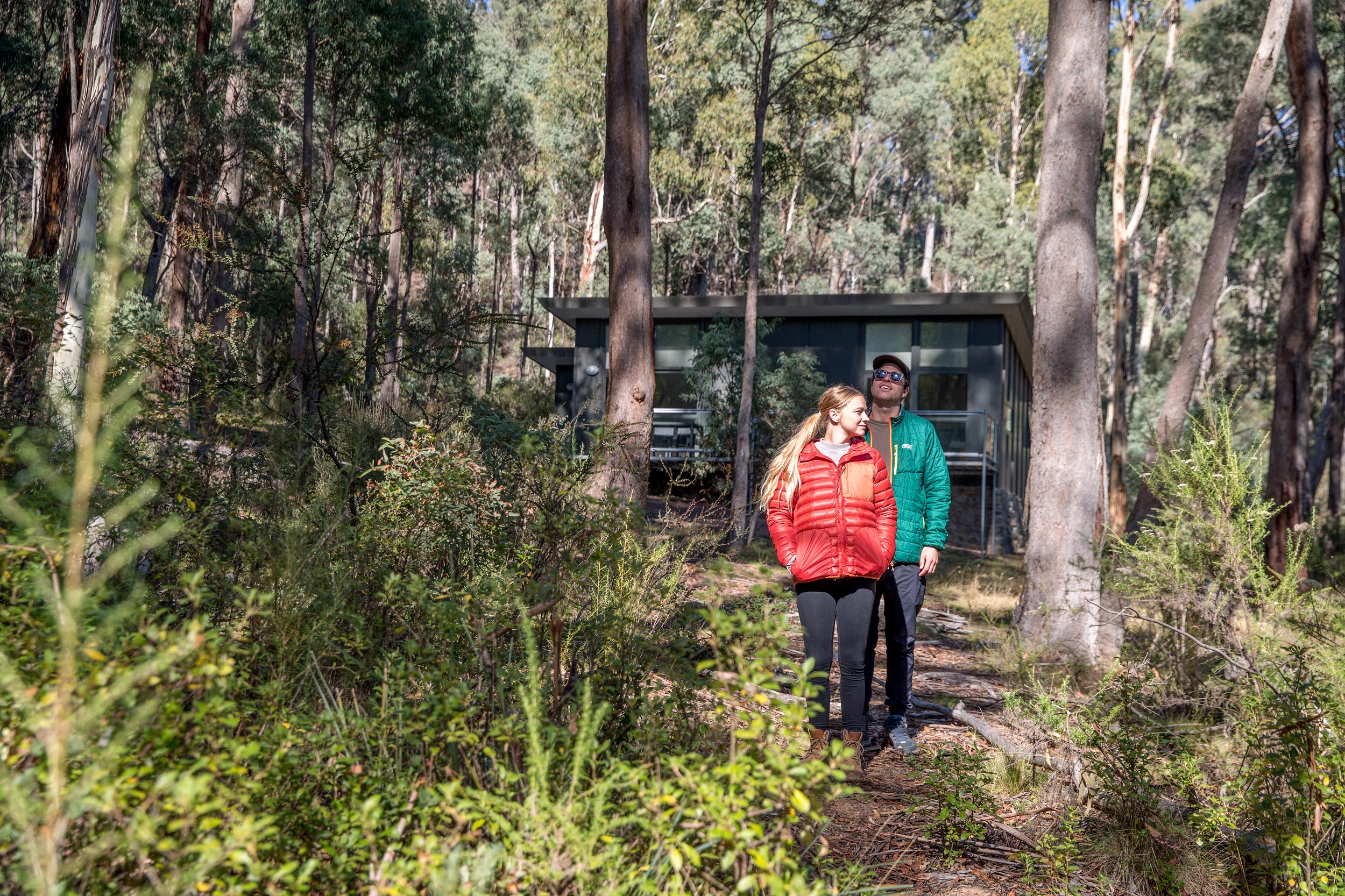 Lyrebird Cottage covered in show. Photo credit: Boen Ferguson/DCCEEW