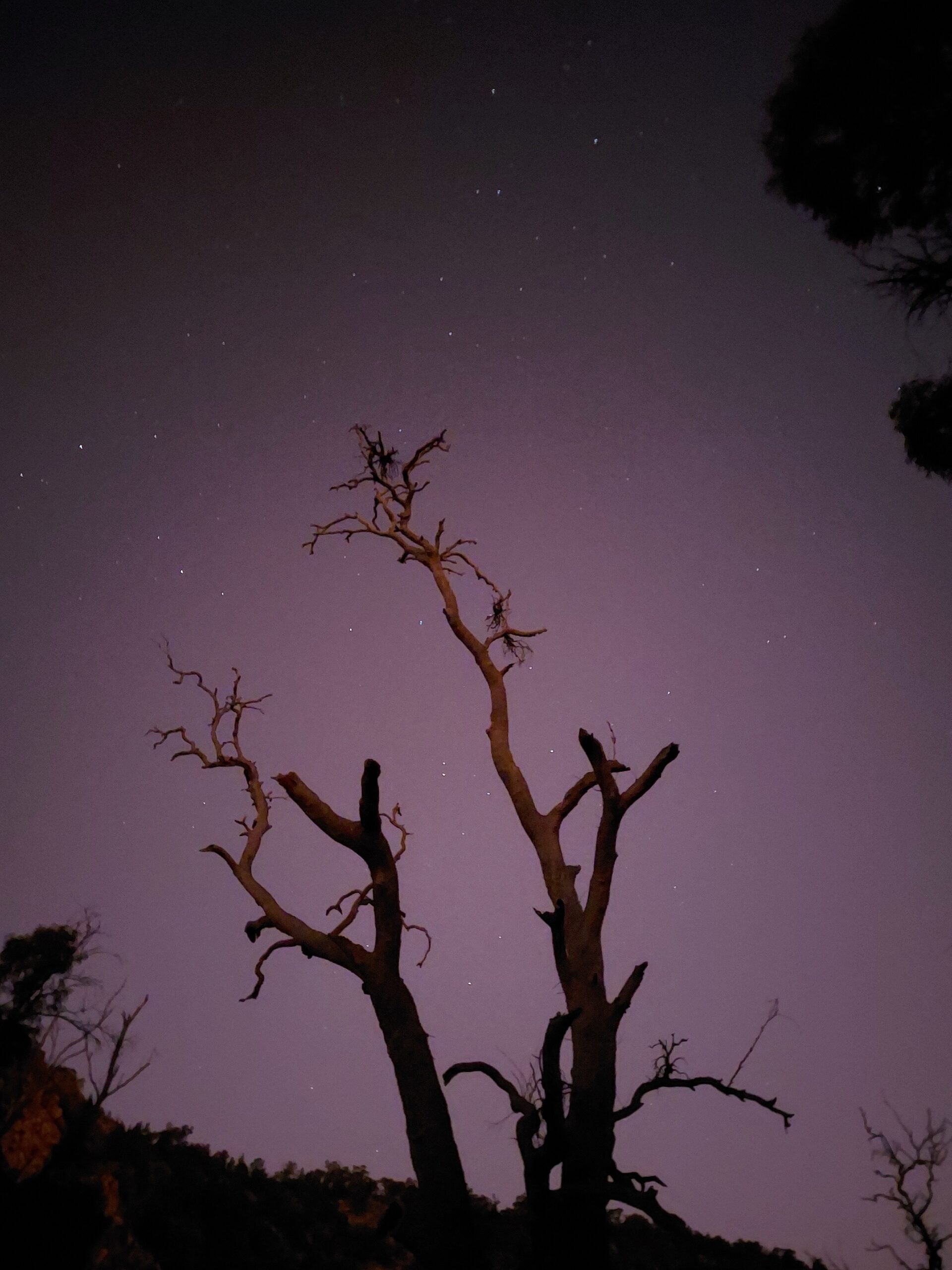 Twilight in Mutawintji National Park. Photo credit: Cameron Luck/DCCEEW