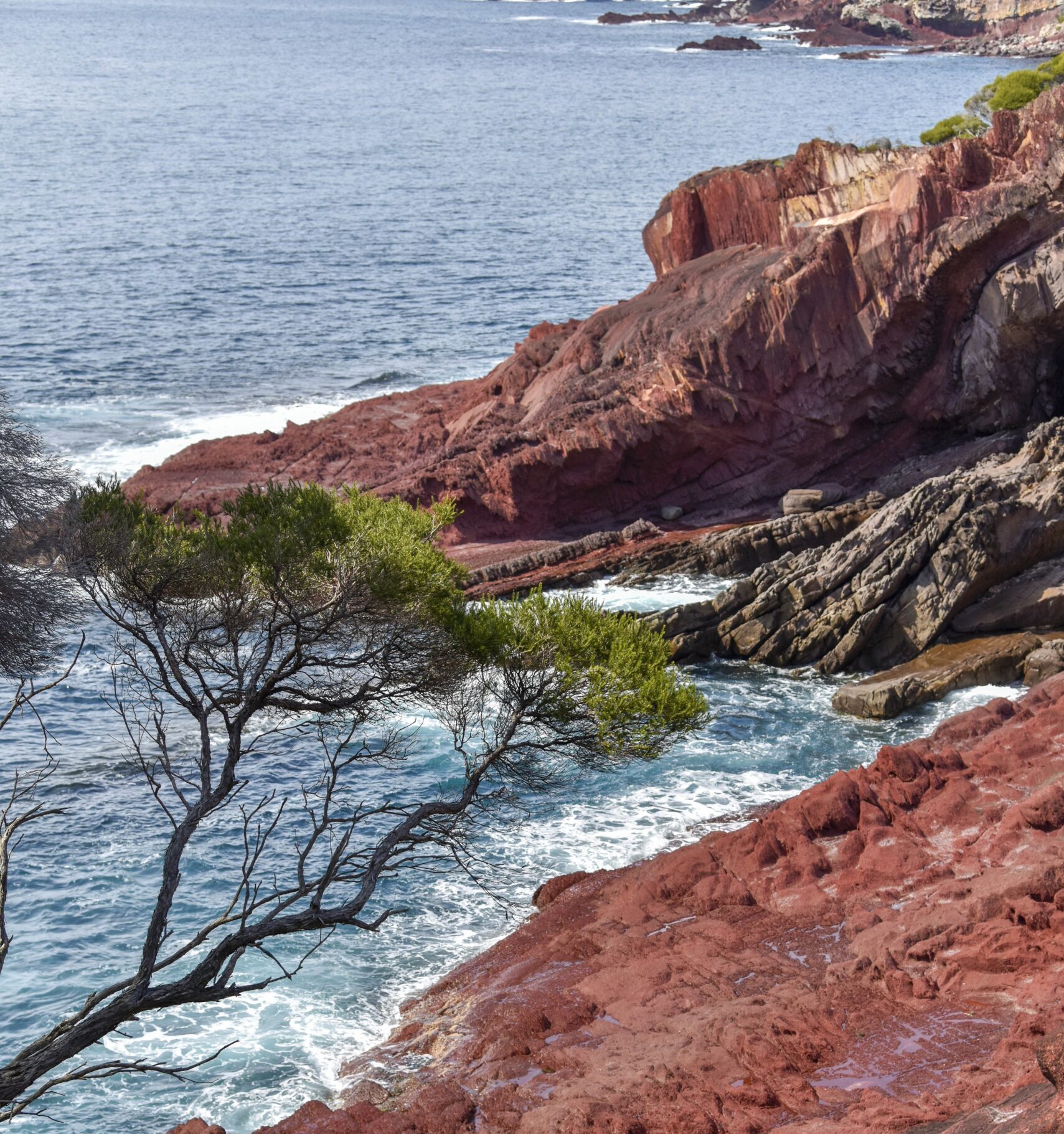 Waves crash along the red rock coastline of Beowa National Park. Photo credit: Adam Hollingworth/DCCEEW