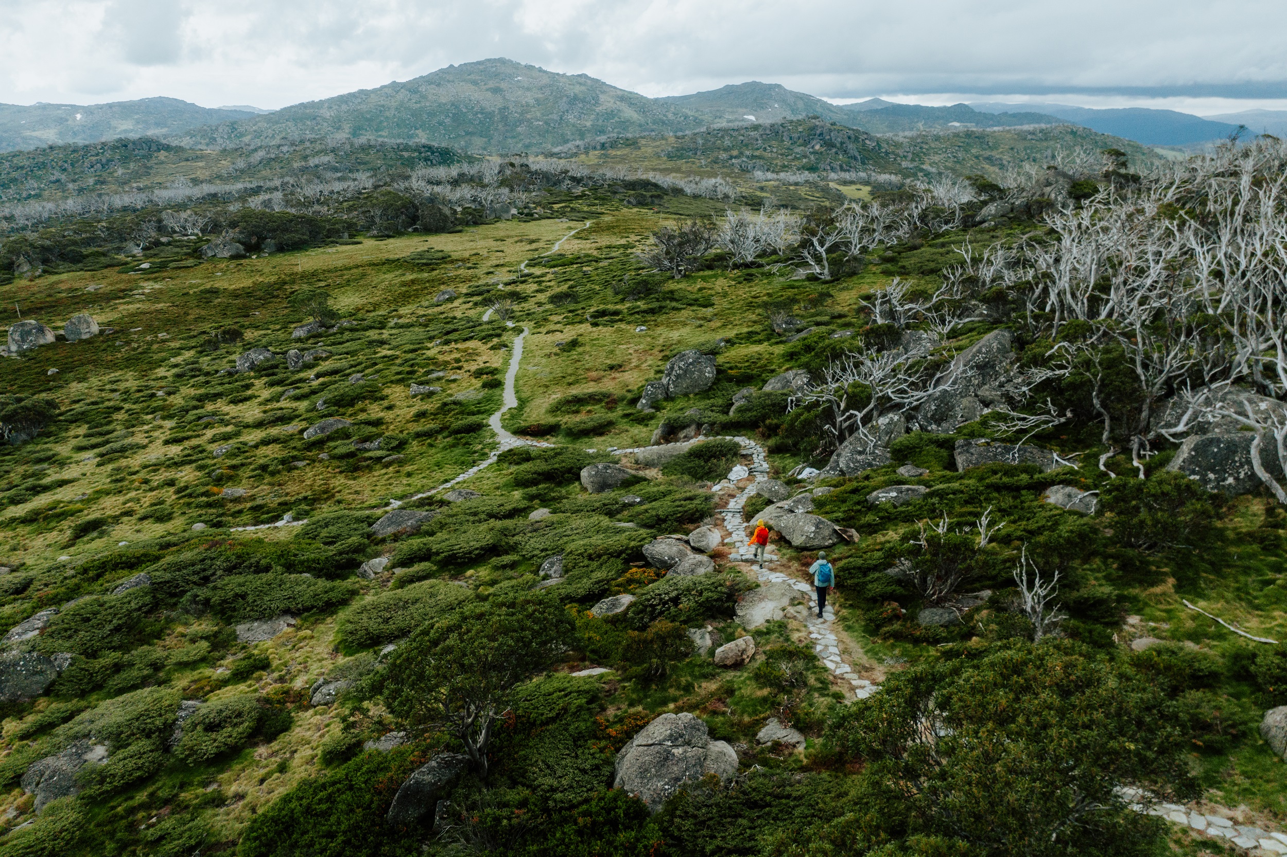 Two people walking on the Charlotte Pass Village to Perisher​ Valley section of the Snowies Alpine Walk. Photo credit: Daniel Parsons/DCCEEW © Studio Bilby