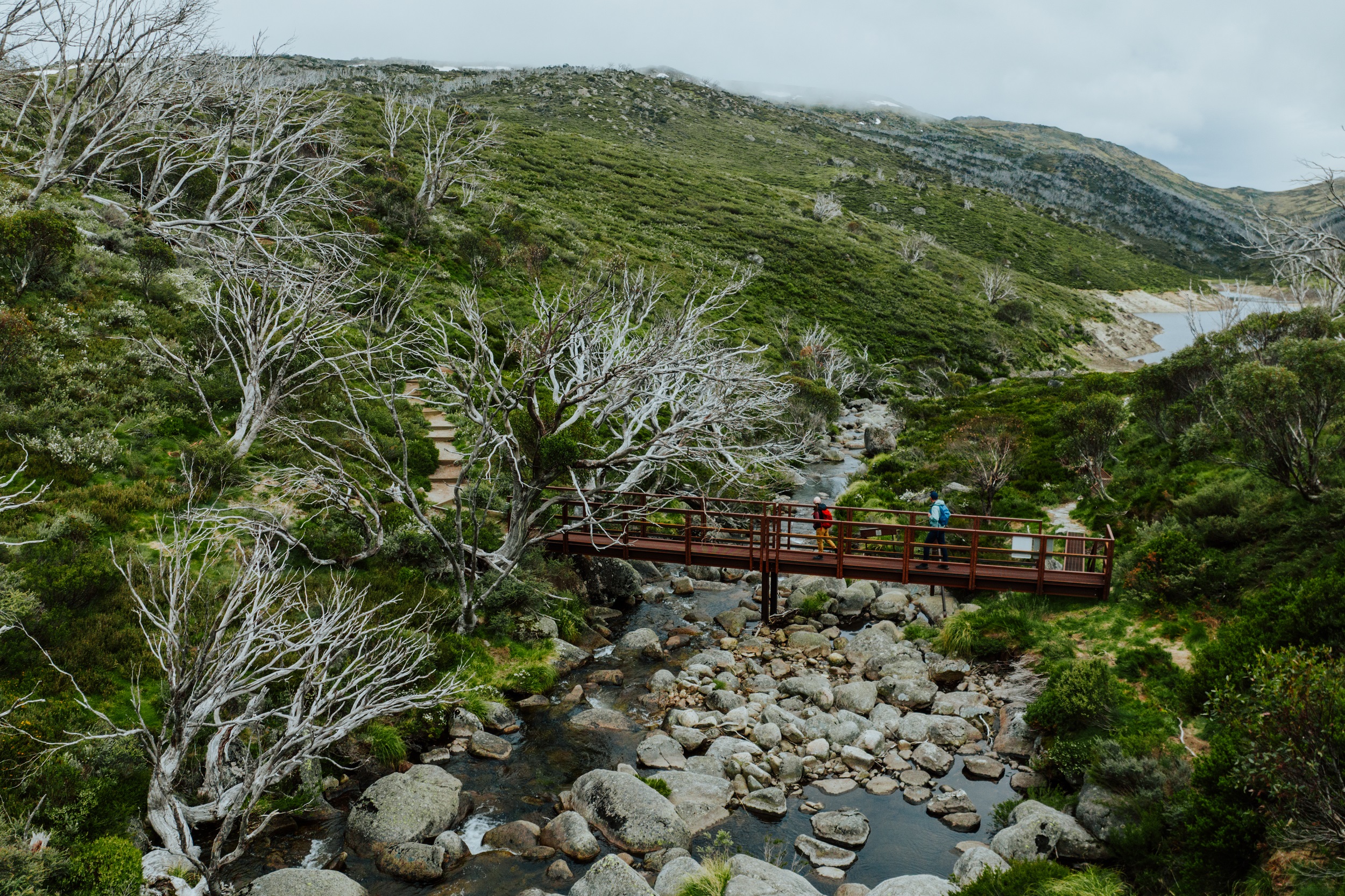 Two people walking on the Guthega to Charlotte Pass section of the Snowies Alpine Walk. Photo credit: Daniel Parsons/DCCEEW © Studio Bilby