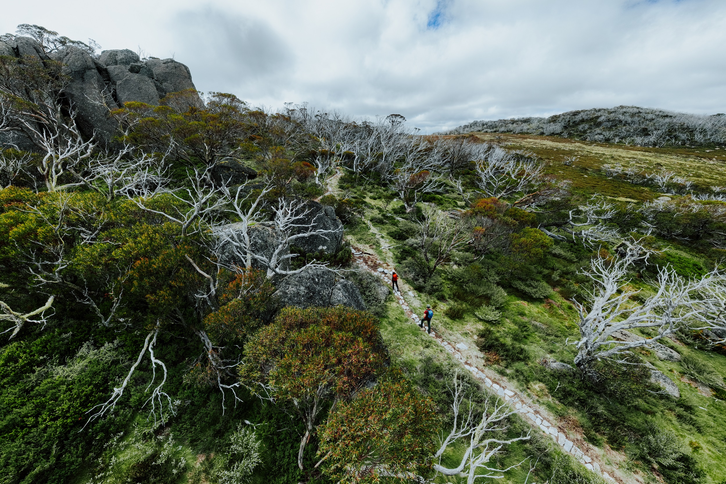 Five epic multi-day hikes in NSW
