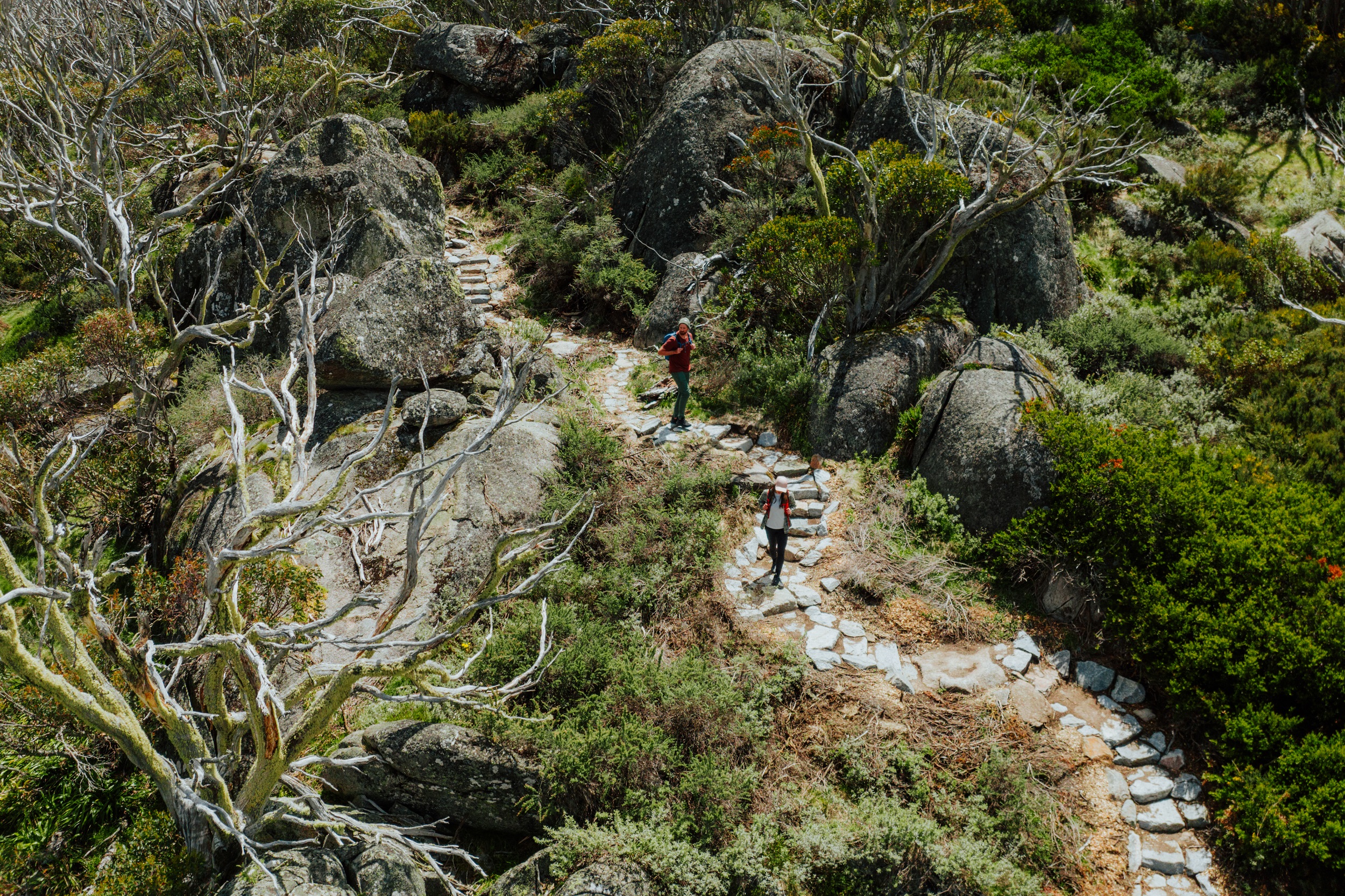 Two people walking on the Perisher Valley to Bullocks Flat section of the Snowies Alpine Walk. Photo credit: Daniel Parsons/DCCEEW © Studio Bilby