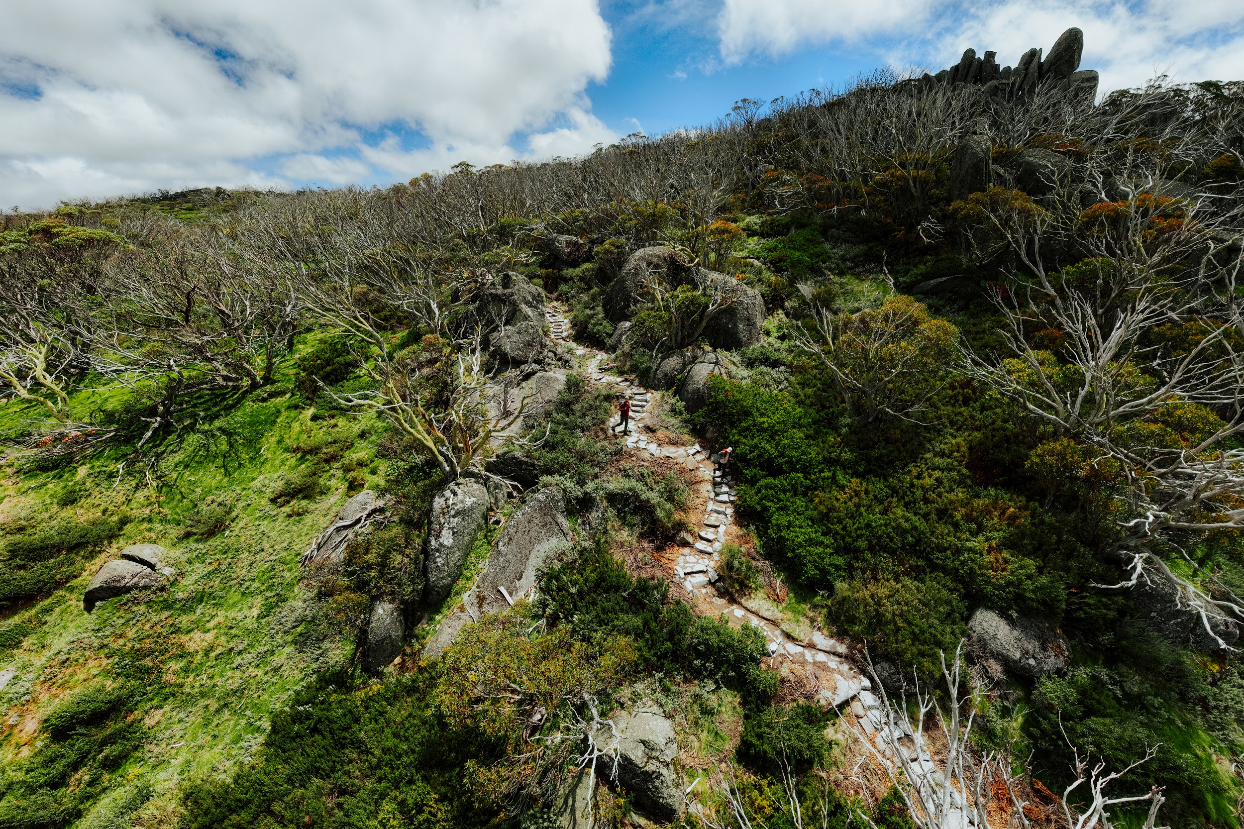 Two people walking on the Perisher Valley to Bullocks Flat track section of the Snowies Alpine Walk. Photo credit: Daniel Parsons/DCCEEW © Studio Bilby