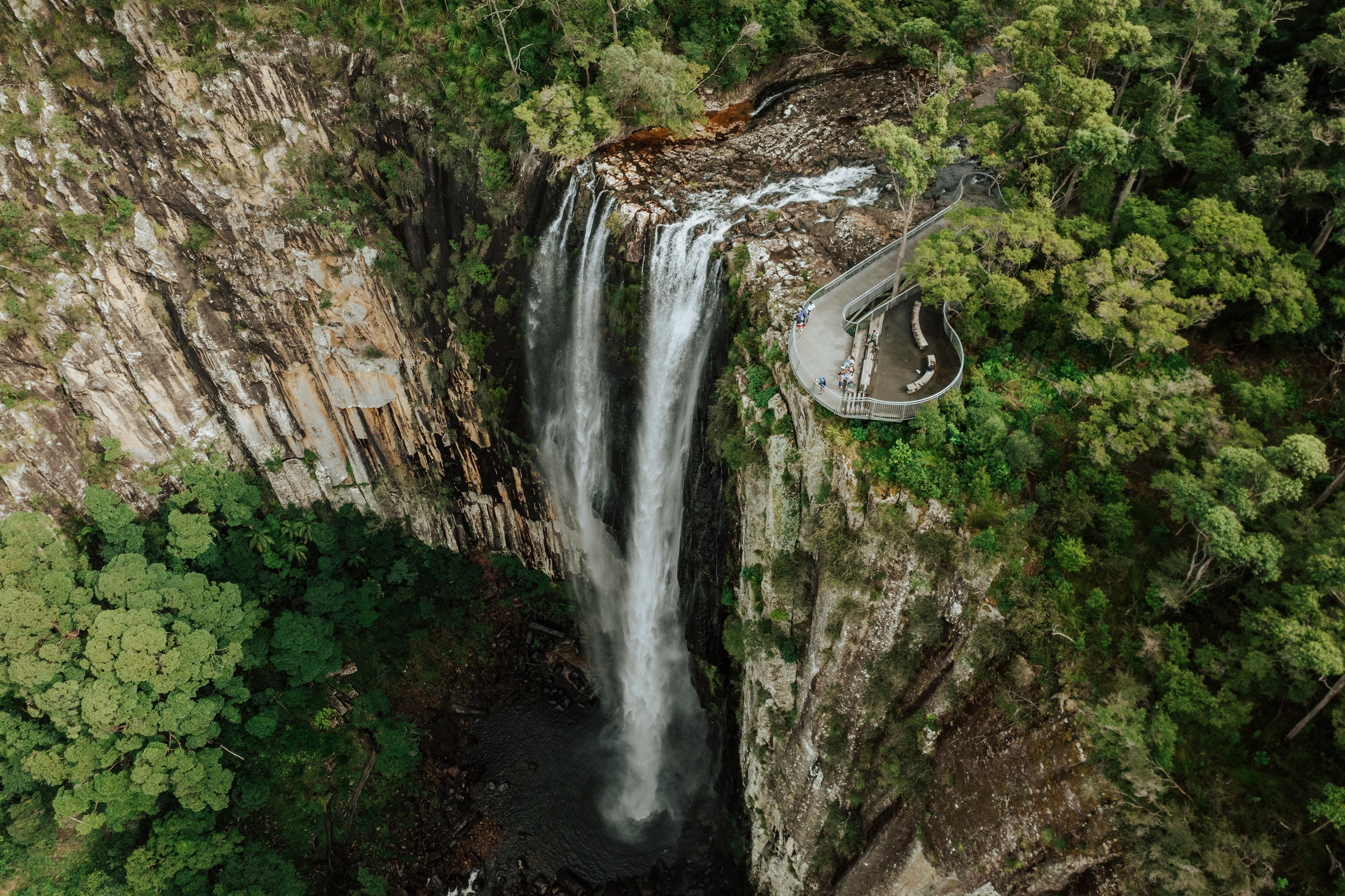 An aerial view of Minyon Falls plunging into the gorge below. Photo: Daniel Parsons/DCCEEW © Studio Bilby