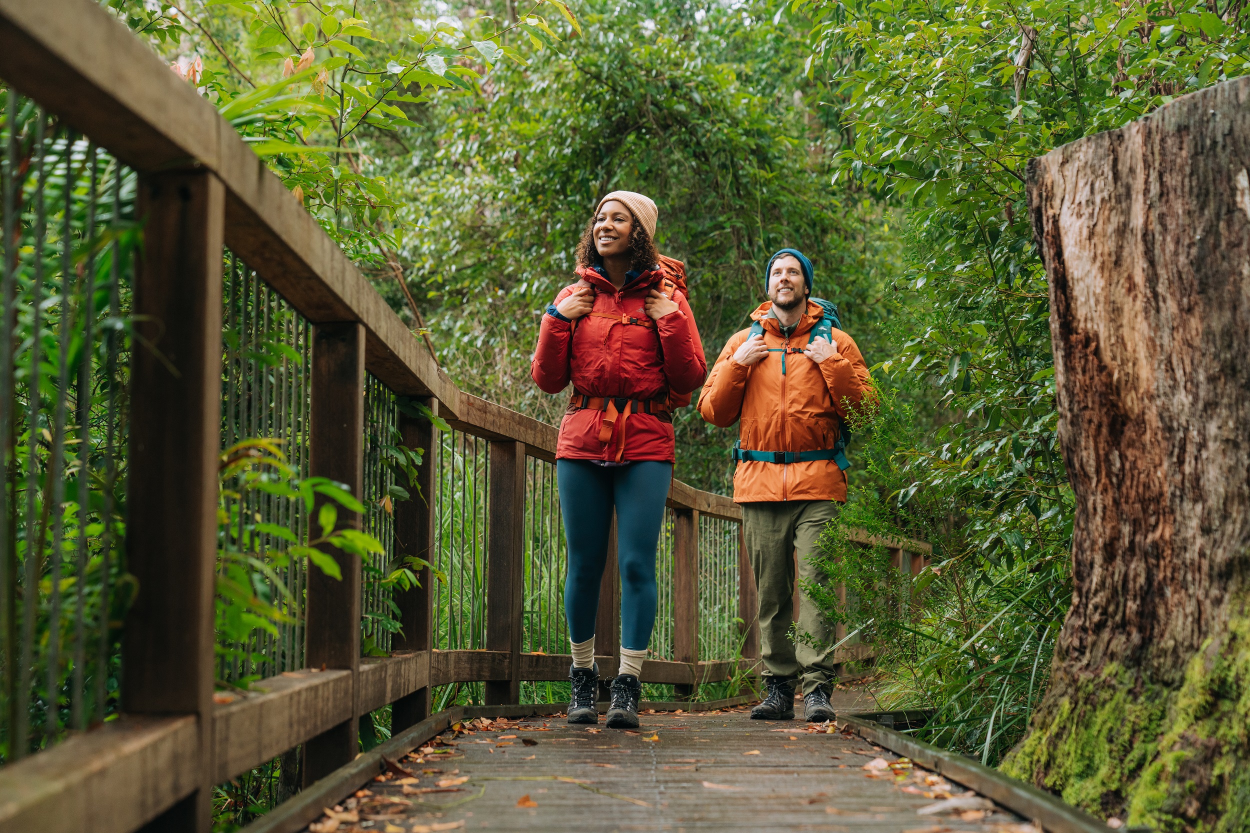 Two walkers follow the track to Minyon Falls. Photo: Remy Brand/DCCEEW © Studio Bilby