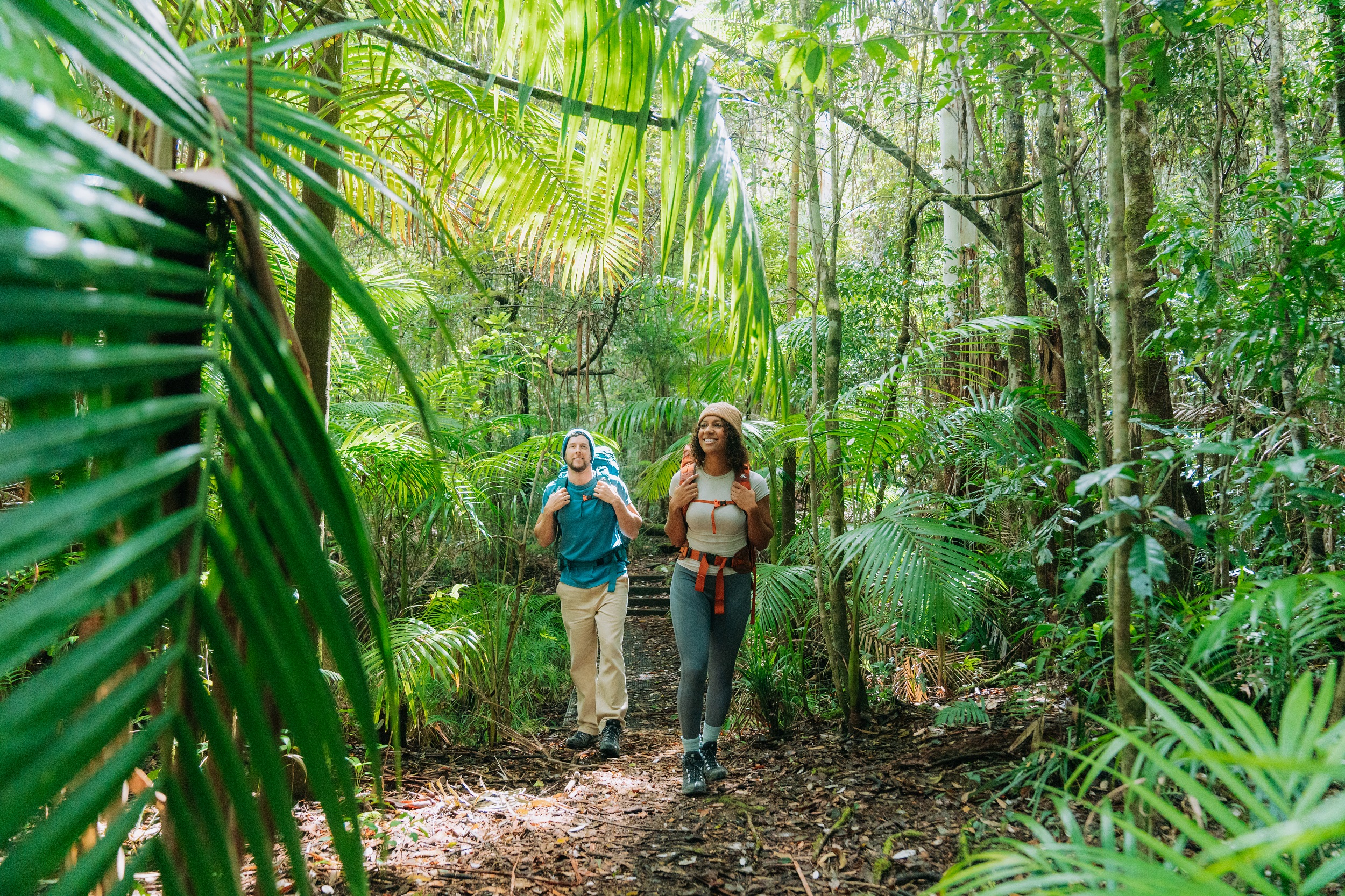 Two hikers walking through the rainforest on Gidjuum Gulganyi Walk. Photo: Remy Brand/DCCEEW © Studio Bilby