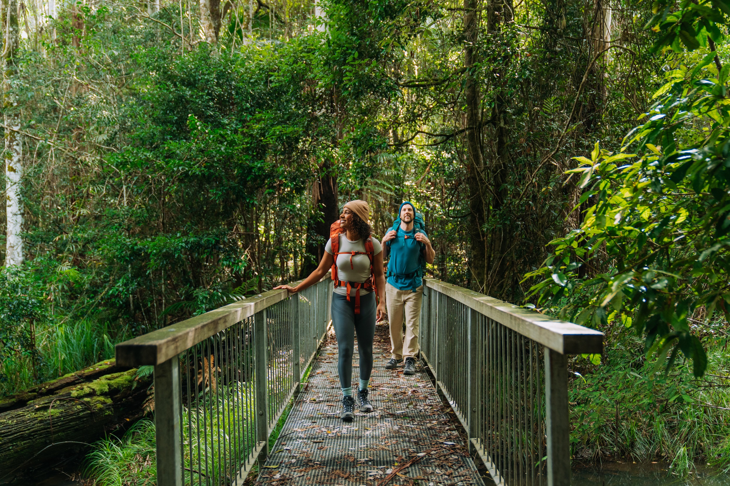 Two hikers crossing a bridge through the rainforest on Gidjuum Gulganyi Walk. Photo: Remy Brand/DCCEEW © Studio Bilby