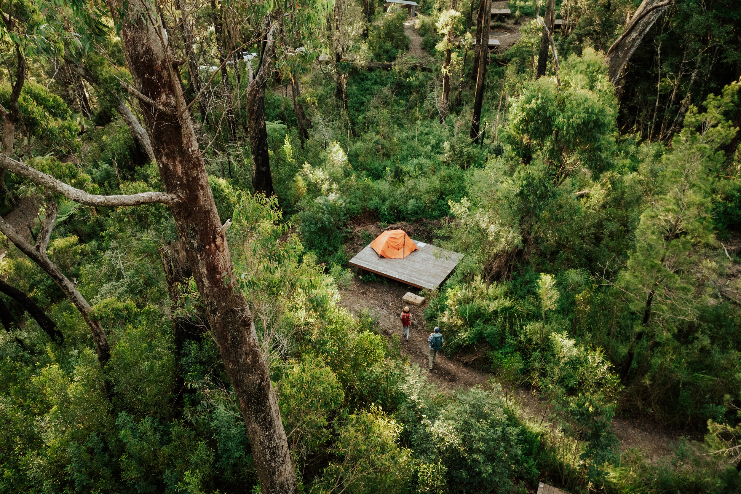 Two hikers walking to their tent on a camping platform at Sand Ridge campground. Photo: Daniel Parsons/DCCEEW © Studio Bilby