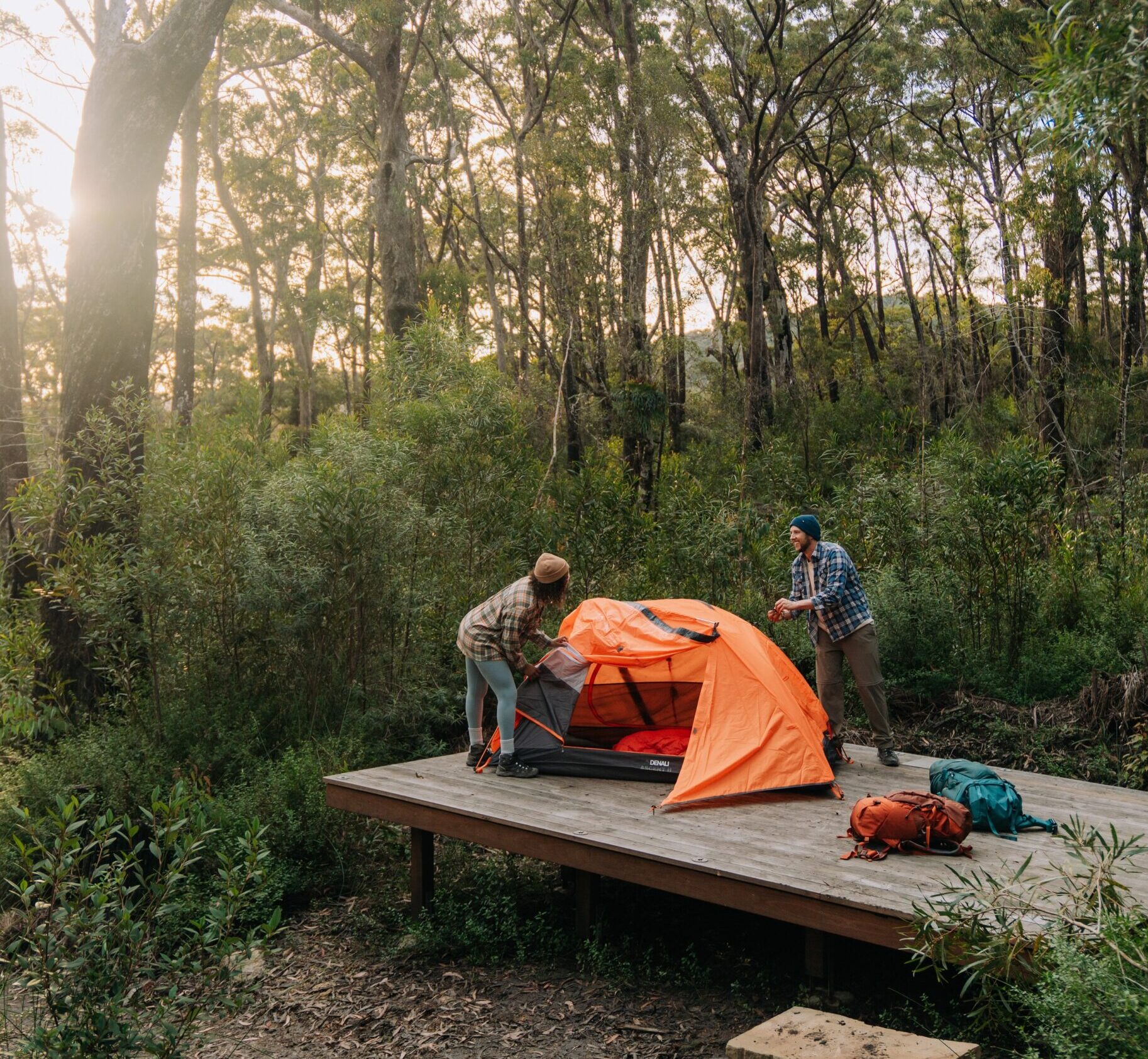 Two hikers setting up a tent on a camping platform at Sand Ridge campground. Photo: Remy Brand/DCCEEW © Studio Bilby