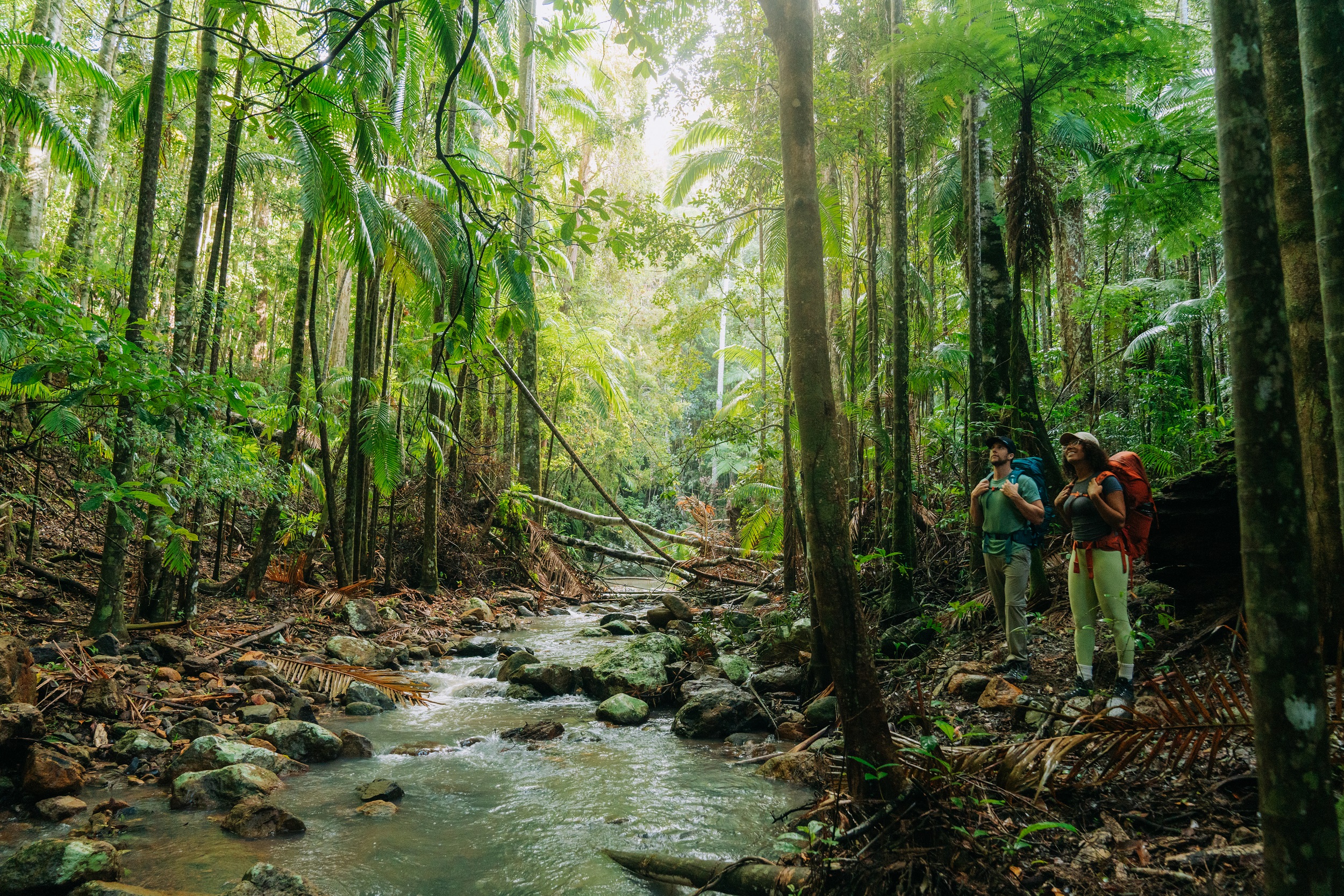 Two hikers walking beside a stream on Gidjuum Gulganyi Walk. Photo: Remy Brand/DCCEEW © Studio Bilby