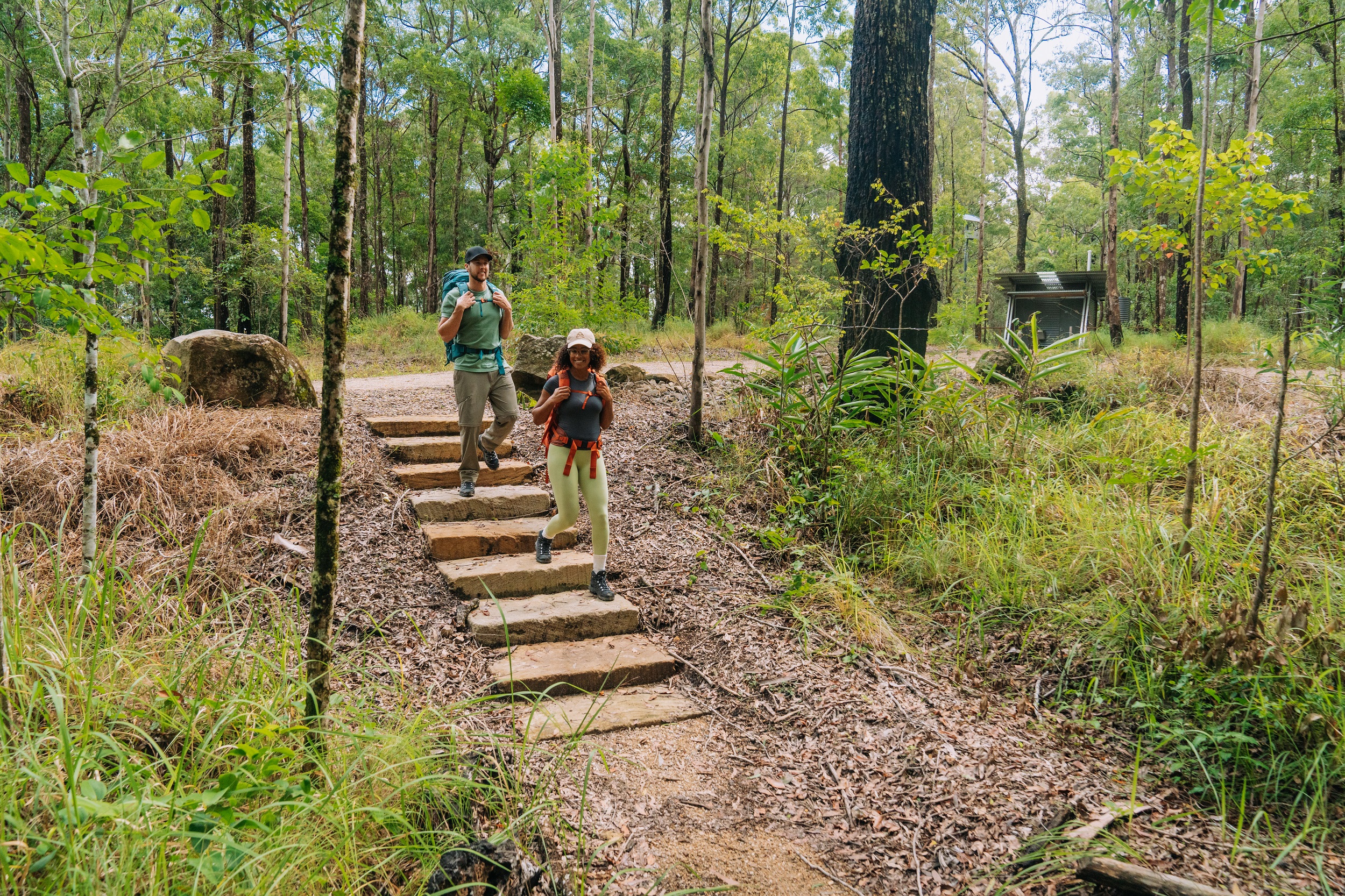 Two walkers descending stairs at Manns Road trackhead. Photo: Remy Brand/DCCEEW © Studio Bilby