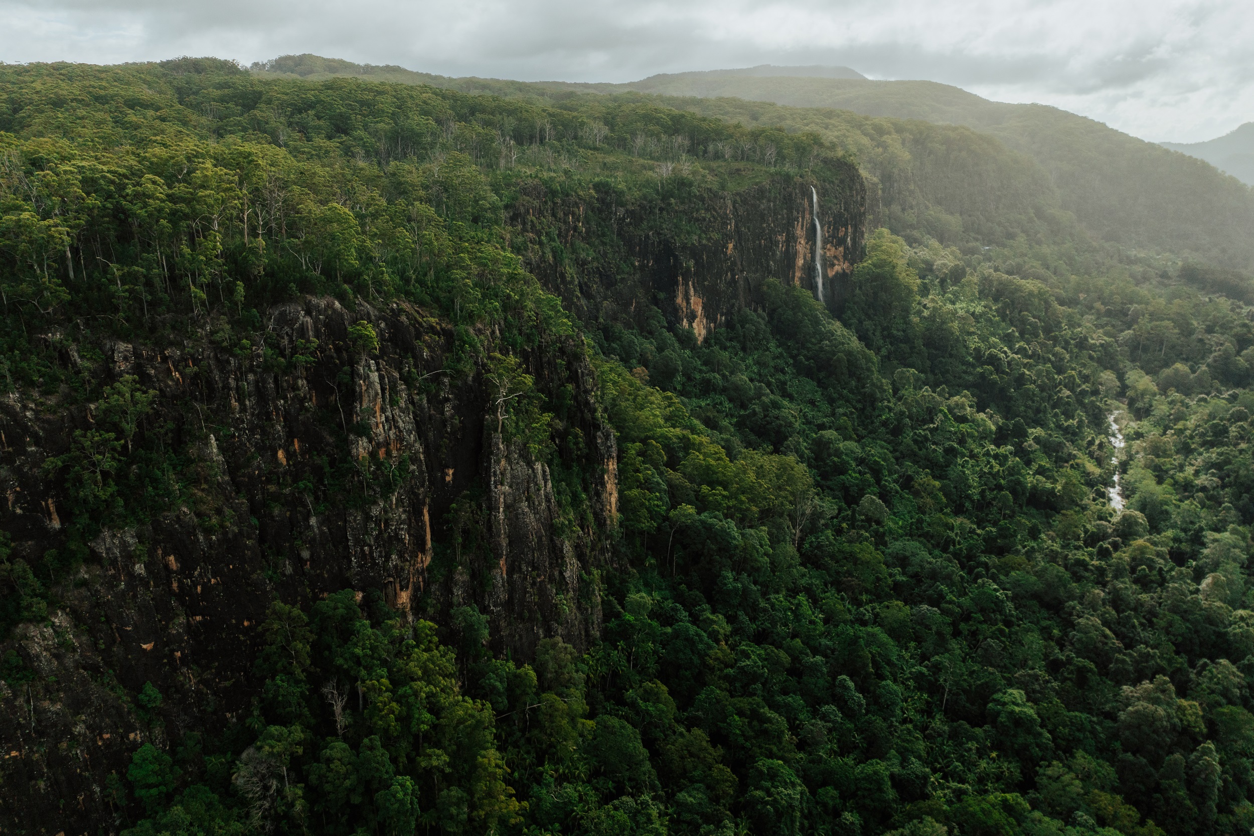 Views of the tree-covered mountains from Wanganui Gorge lookout on Gidjuum Gulganyi Walk. Photo: Daniel Parsons/DCCEEW © Studio Bilby