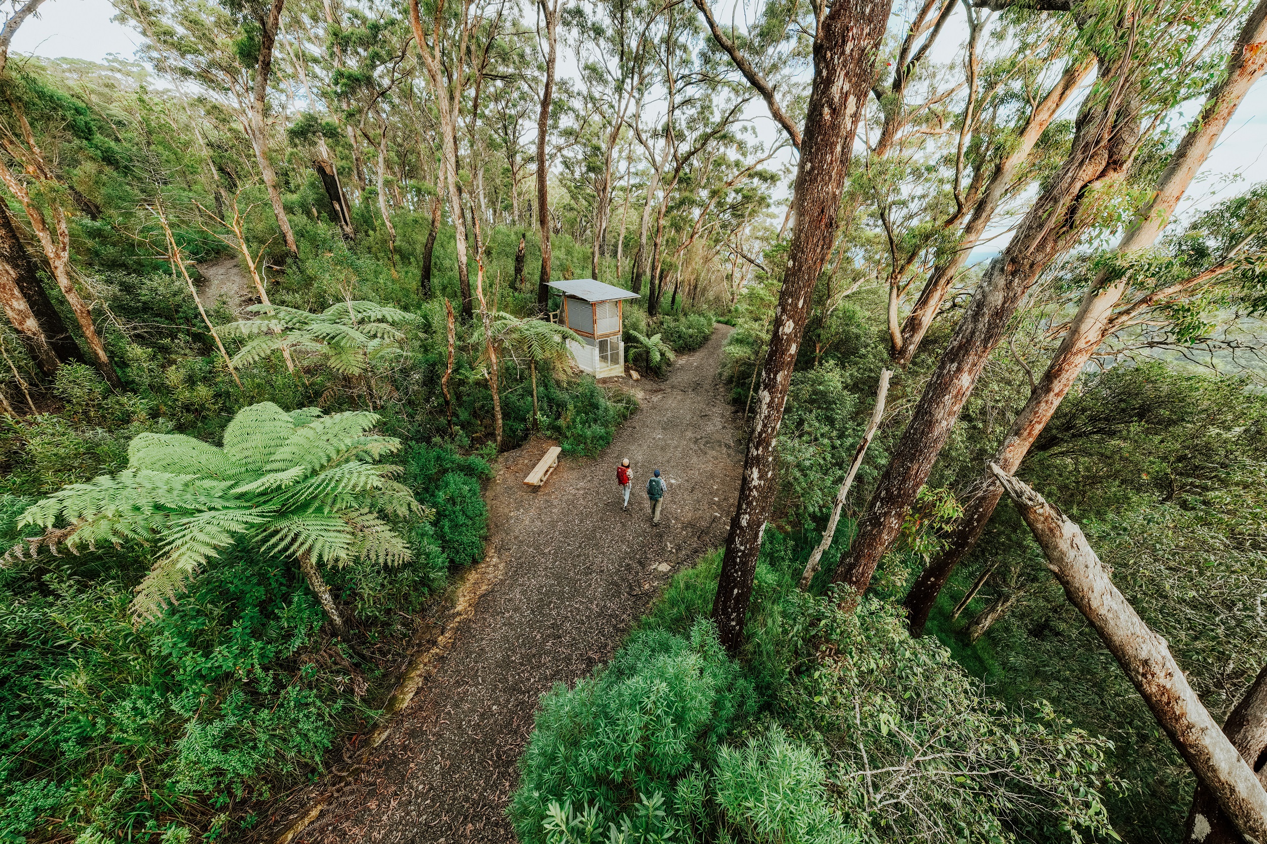 An aerial view of two walkers at Yelgun Kyoomgun campground on Gidjuum Gulganyi Walk. Photo: Daniel Parsons/DCCEEW © Studio Bilby