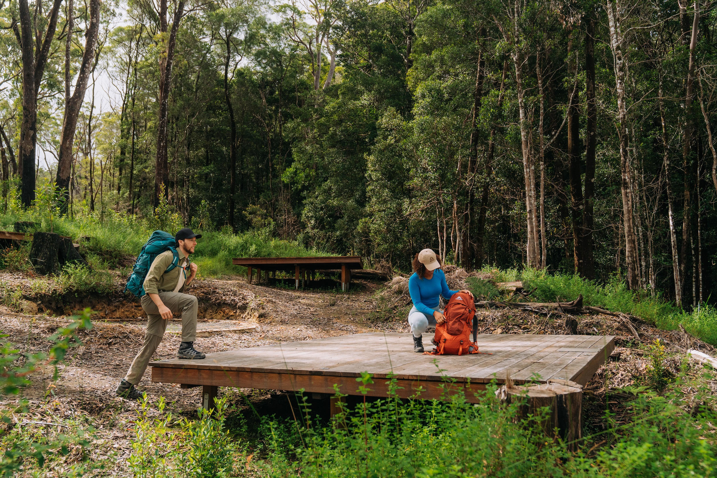 Two walkers setting up their tent on a camping platform at Yelgun Kyoomgun campground on Gidjuum Gulganyi Walk. Photo: Remy Brand/DCCEEW © Studio Bilby