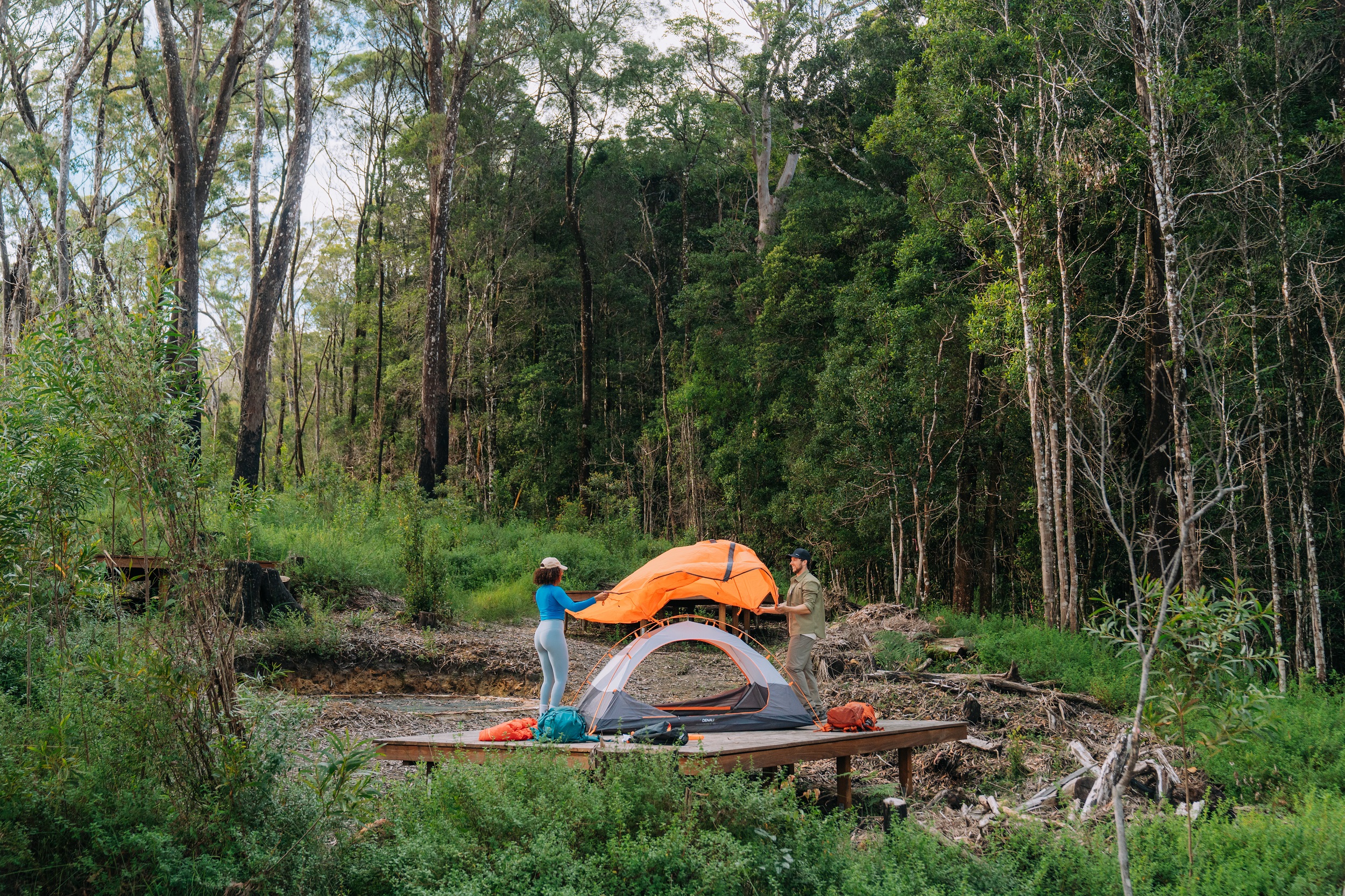 Two walkers setting up their tent on a camping platform at Yelgun Kyoomgun campground on Gidjuum Gulganyi Walk. Photo: Remy Brand/DCCEEW © Studio Bilby