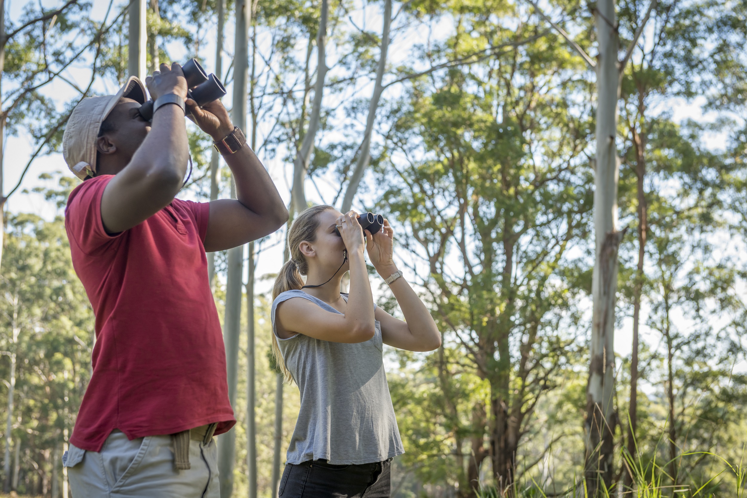A couple bird watching in Lake Innes Nature Reserve.