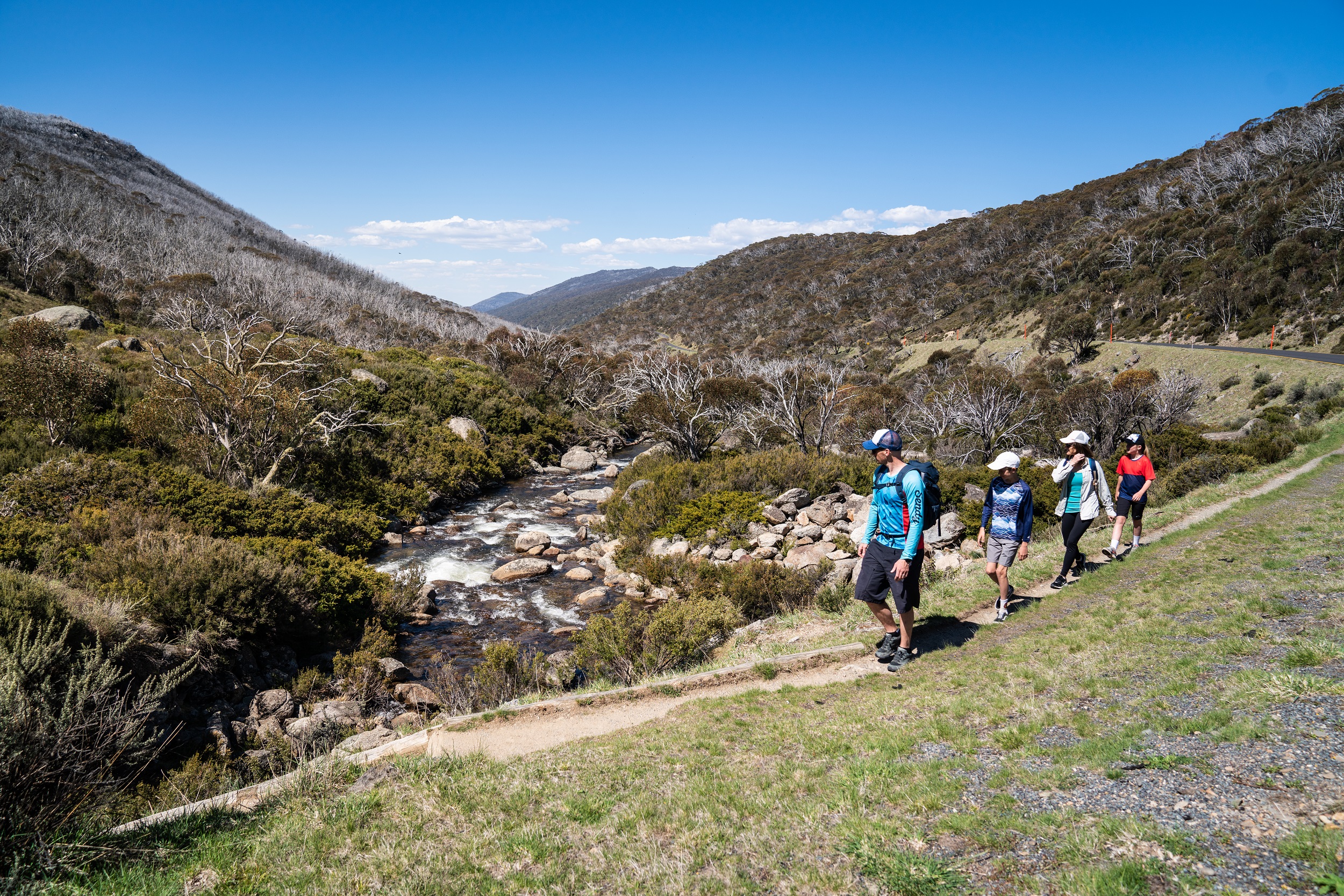 A group of people walking on the Thredbo Valley Track.