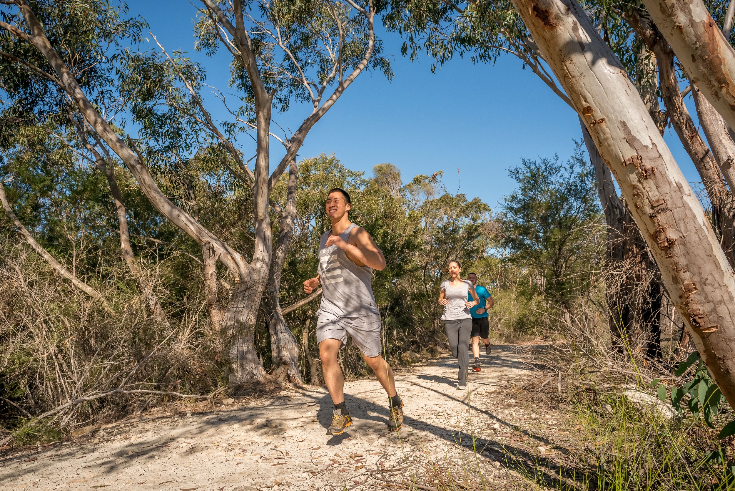 A group of people running on a track in Garigal National Park.