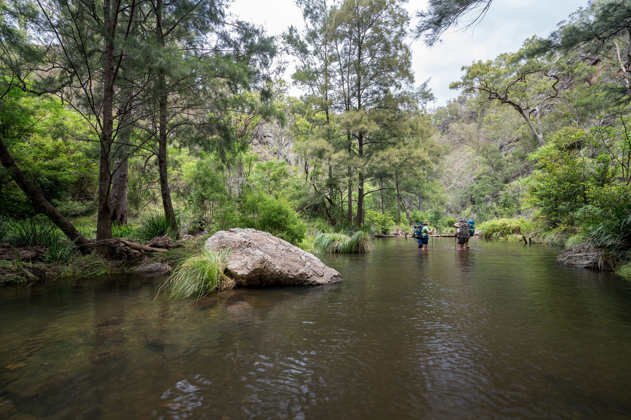 Hikers crossing a river on Green Gully Track.