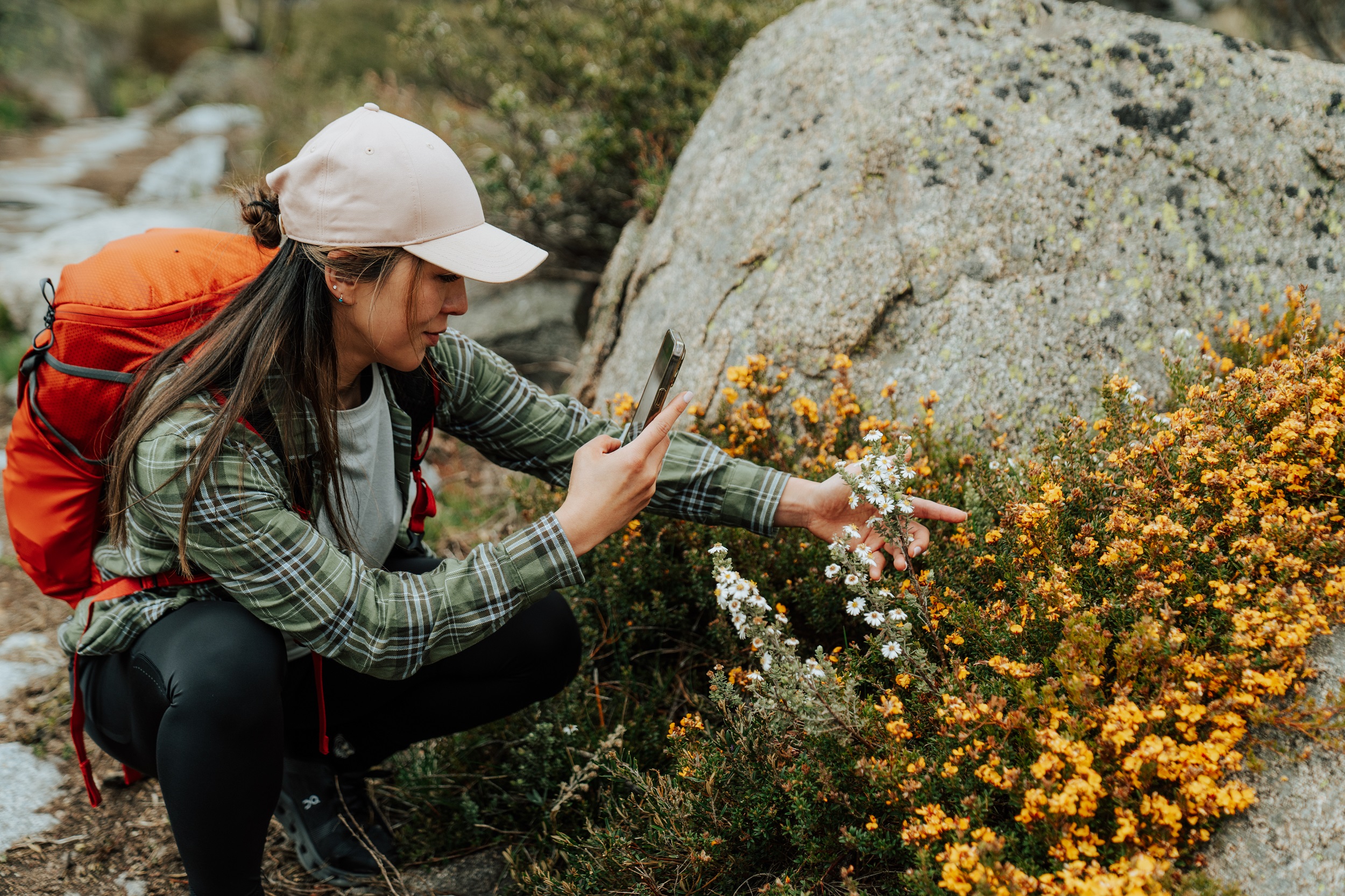 Ten native plants with names you won’t forget