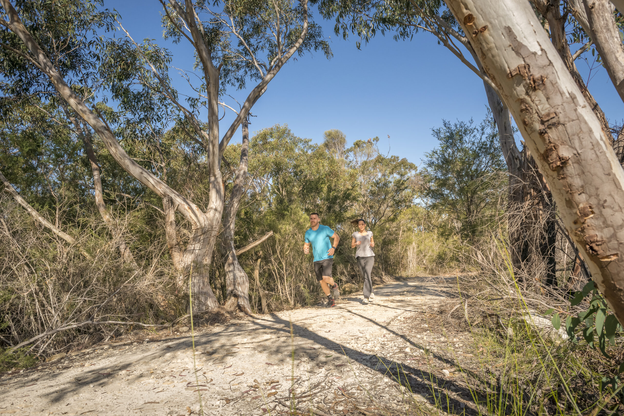 The best trails to run in NSW national parks