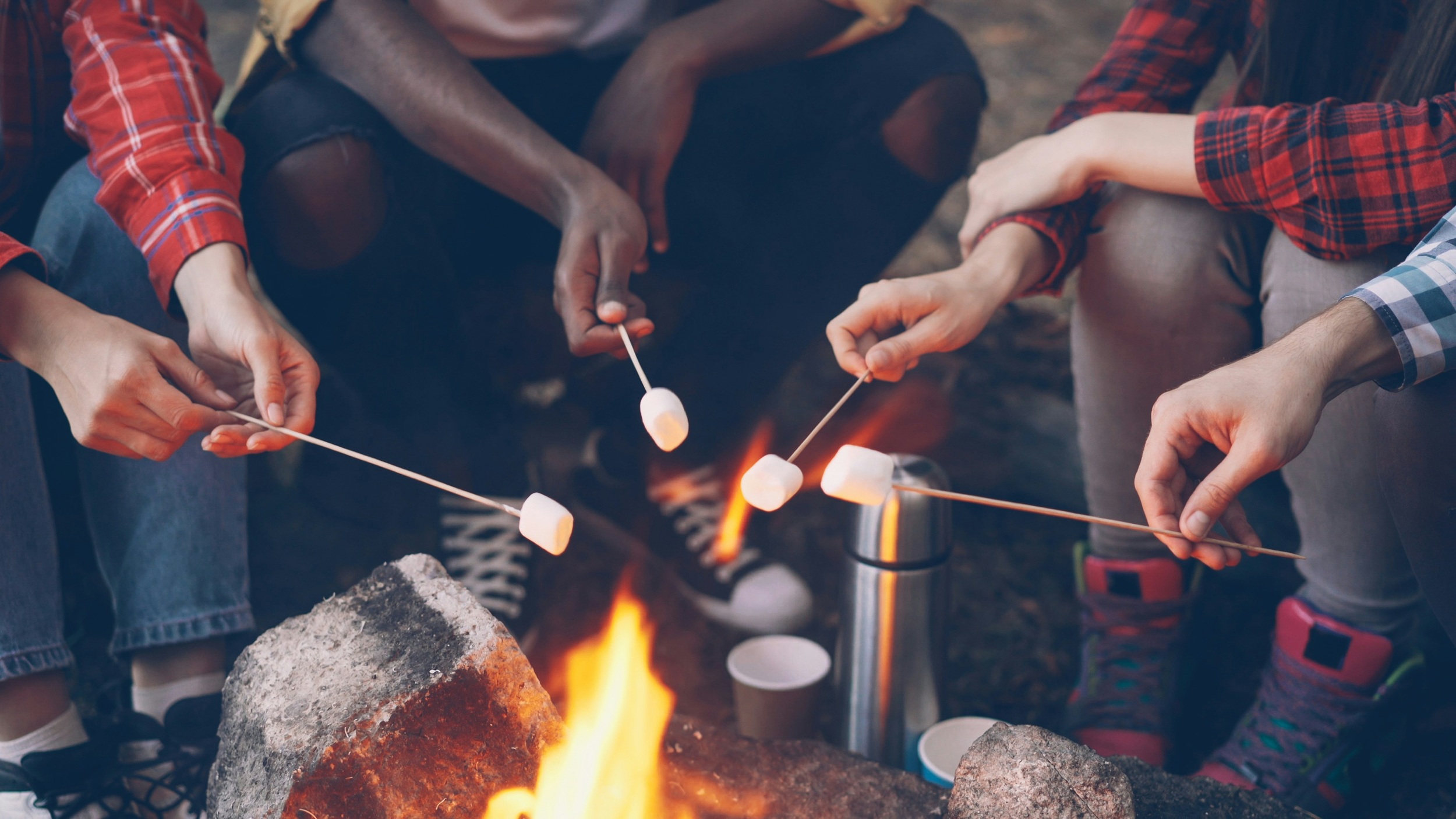 A group of campers toasting marshmallows over a campfire.