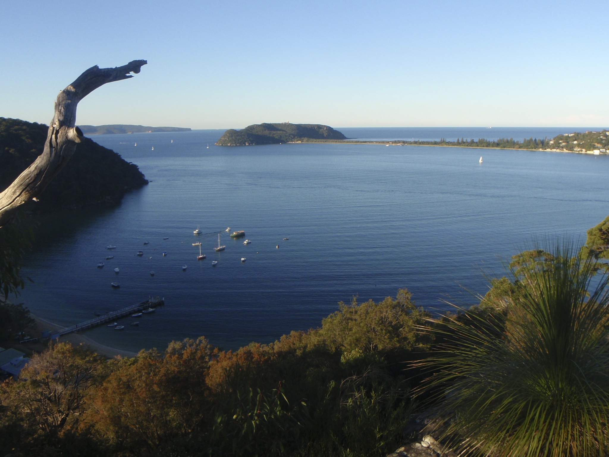 View over the calm waters of  Mackerel Beach, with boats moored near the shoreline. Photo: Andrew Richards/DCCEEW © DCCEEW