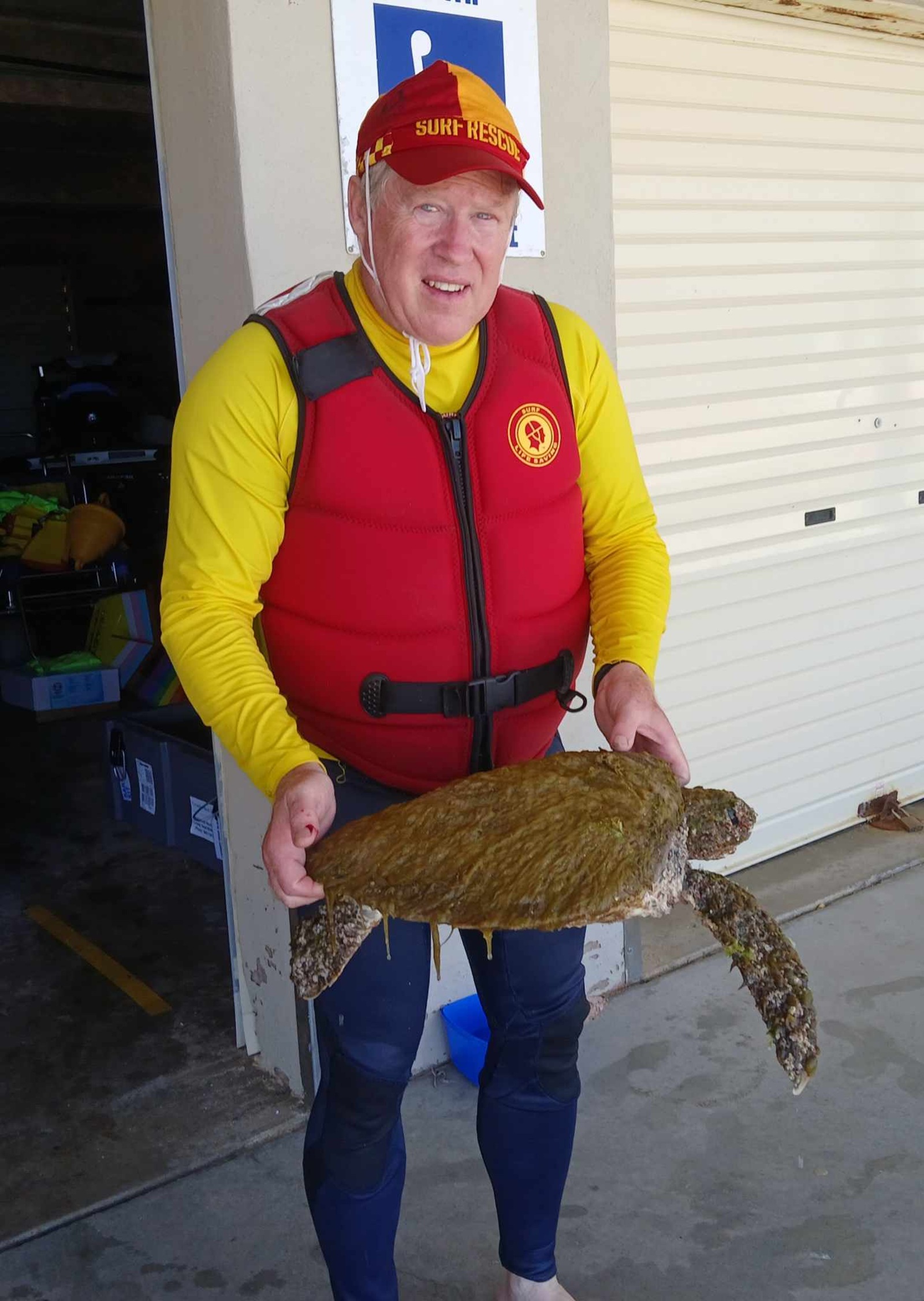 Andy Marshall holds the rescued turtle outside the surf club building. Photo: © Andy Marshall