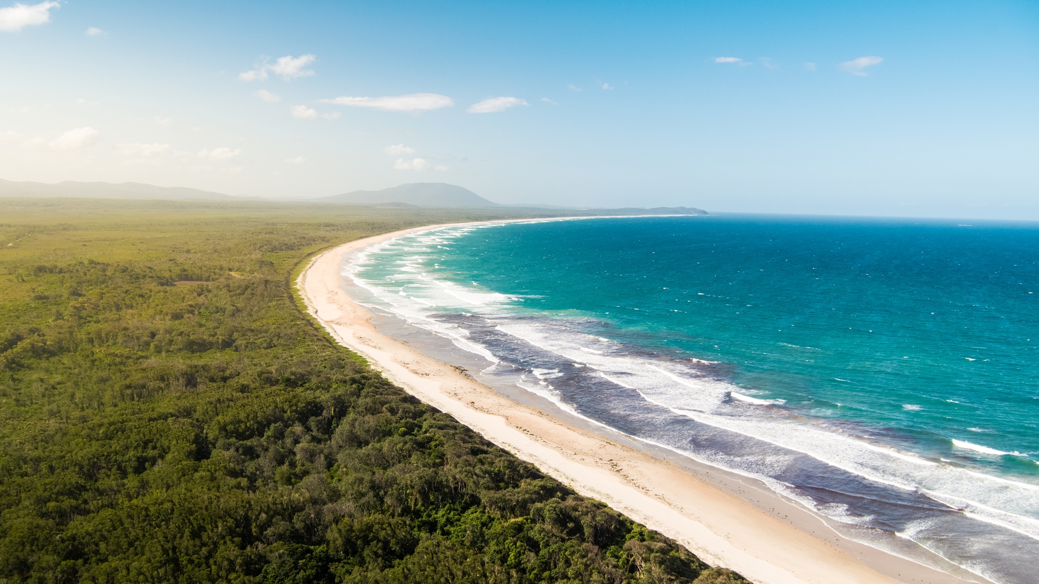Aerial view of a stretch of coastline bordered by green bushland. Photo: Robert Mulally/DCCEEW © DCCEEW