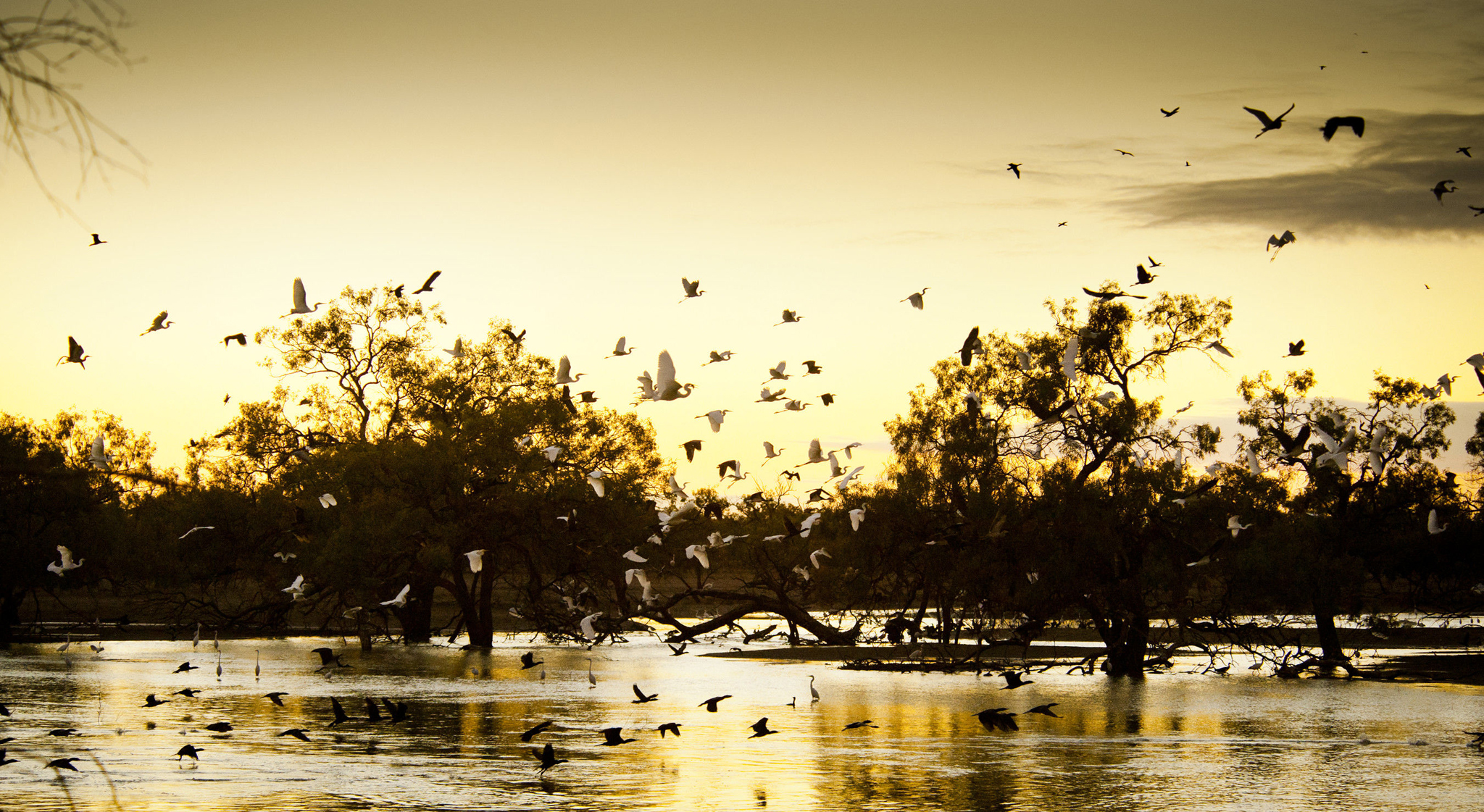 Sunset in Kinchega National Park. Photo: David Finnegan/DCCEEW © DCCEEW