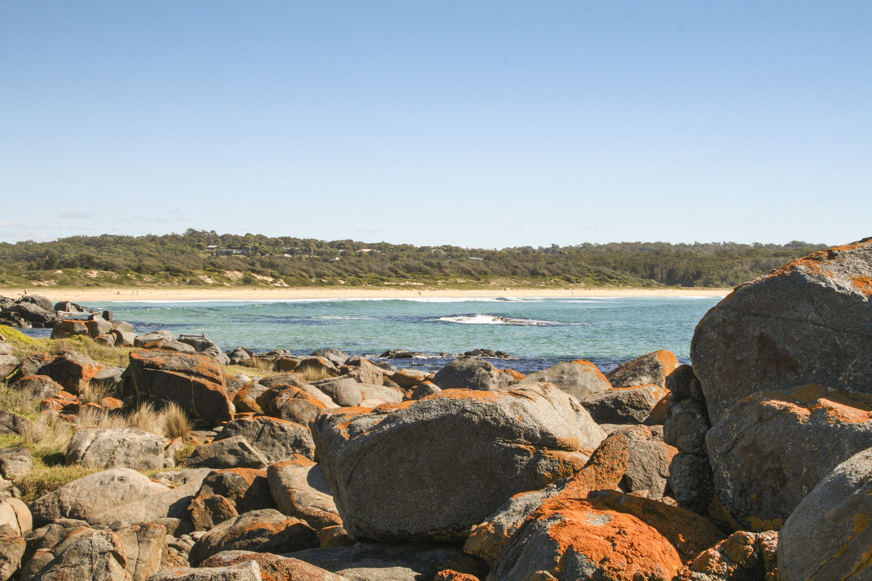 Bingi Bingi Point. Eurobodalla National Park. Photo: Christina Bulivant / DCCEEW © Christina Bulivant
