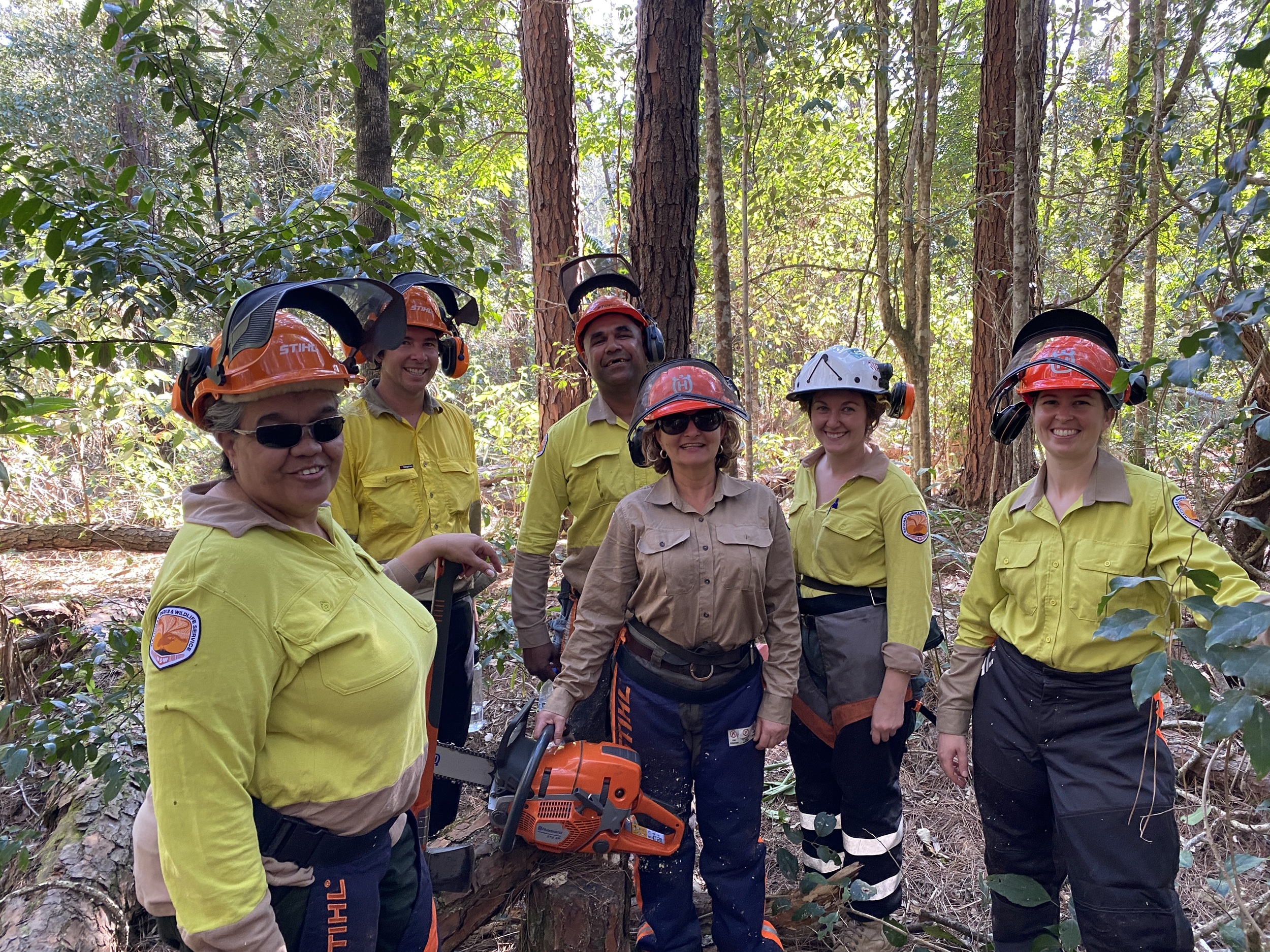 NPWS rangers completing chainsaw training in Mebbin National Park. Photo: © Amanda Dudgeon