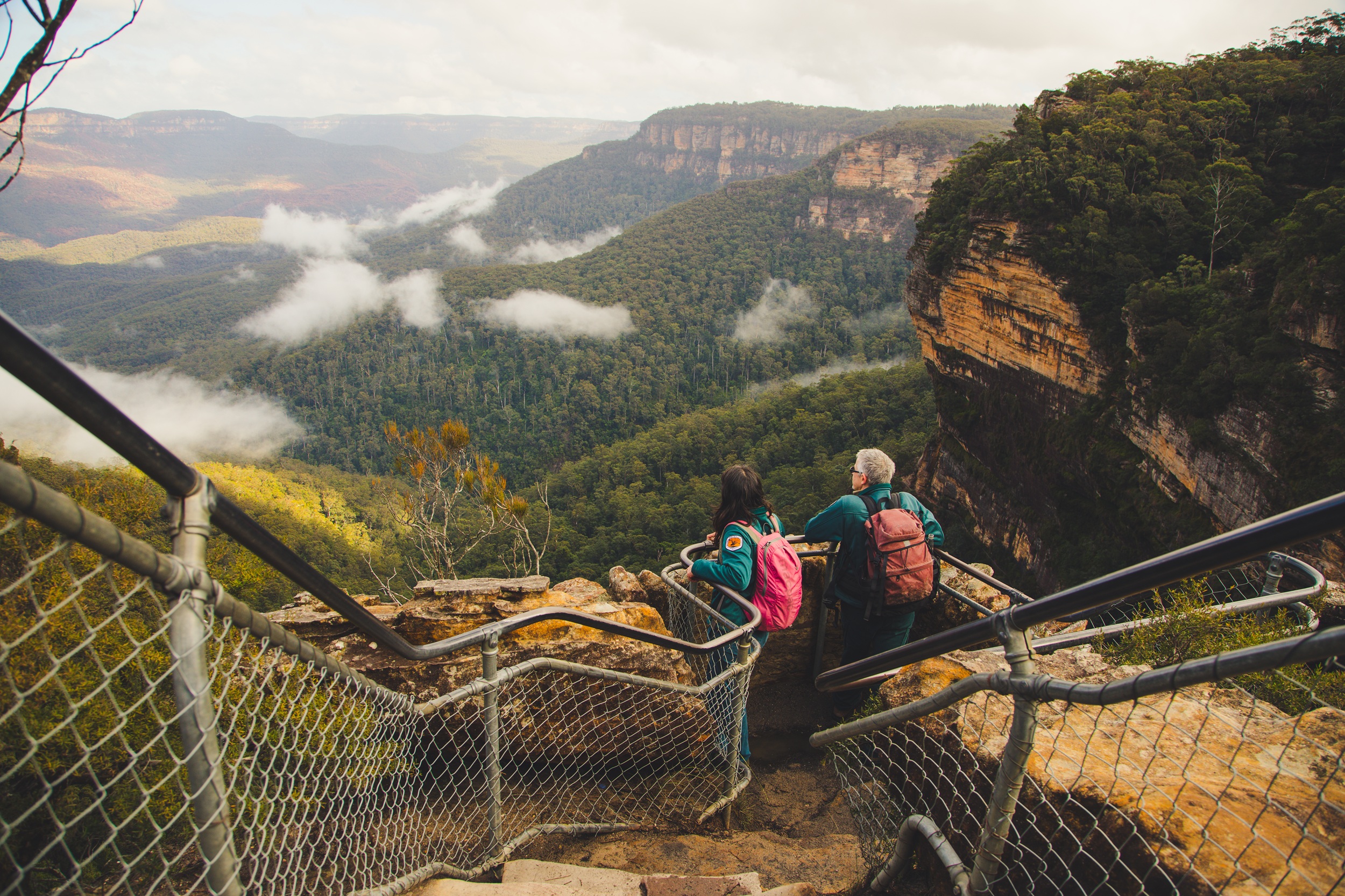 Two NPWS rangers surrounded by valley views at a lookout in Blue Mountains National Park. Photo: Daniel Parsons/DCCEEW © Studio Bilby